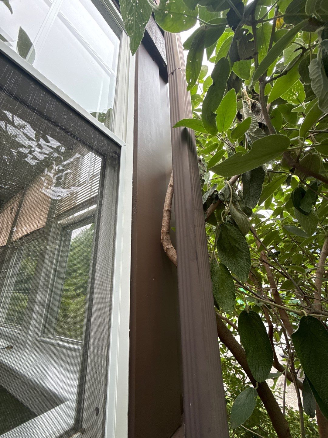 Before and After - Interior Painting  by EXCELLENCE | CARTO