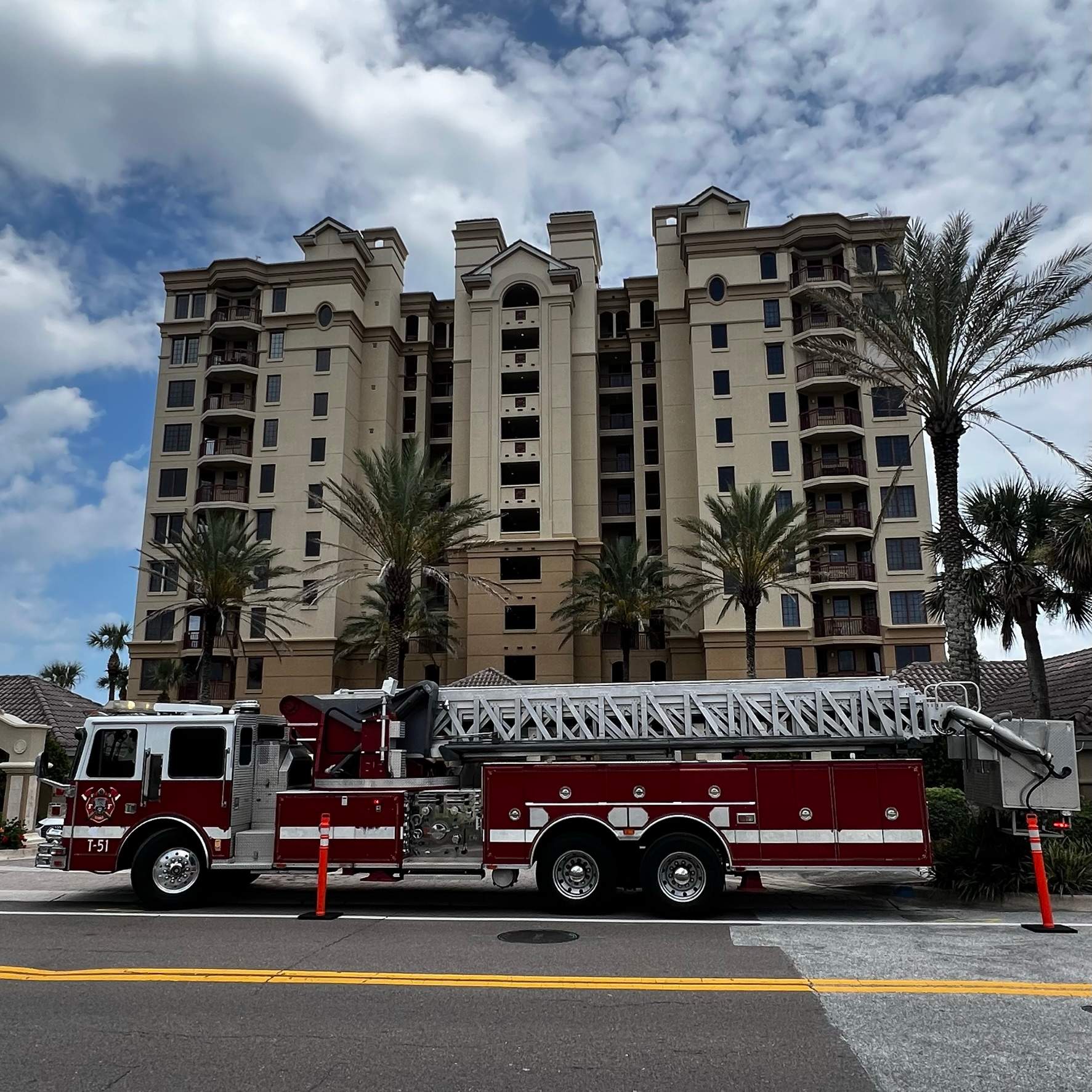 Palm Trimming | Landmark Condominiums by ProGreen Services