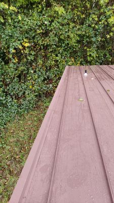 Wolf Sanctuary Remodel