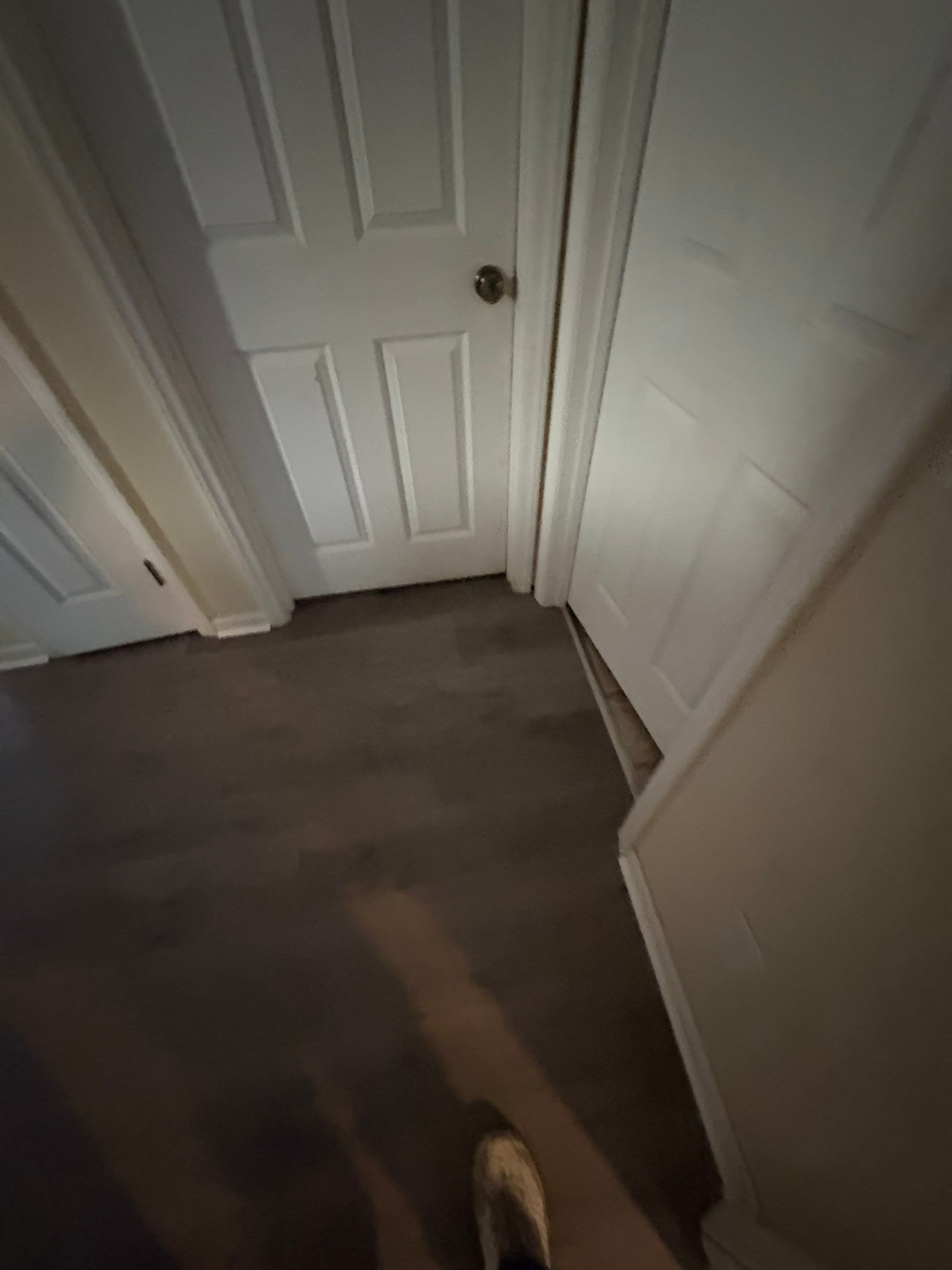 Project 64 by FMP Flooring