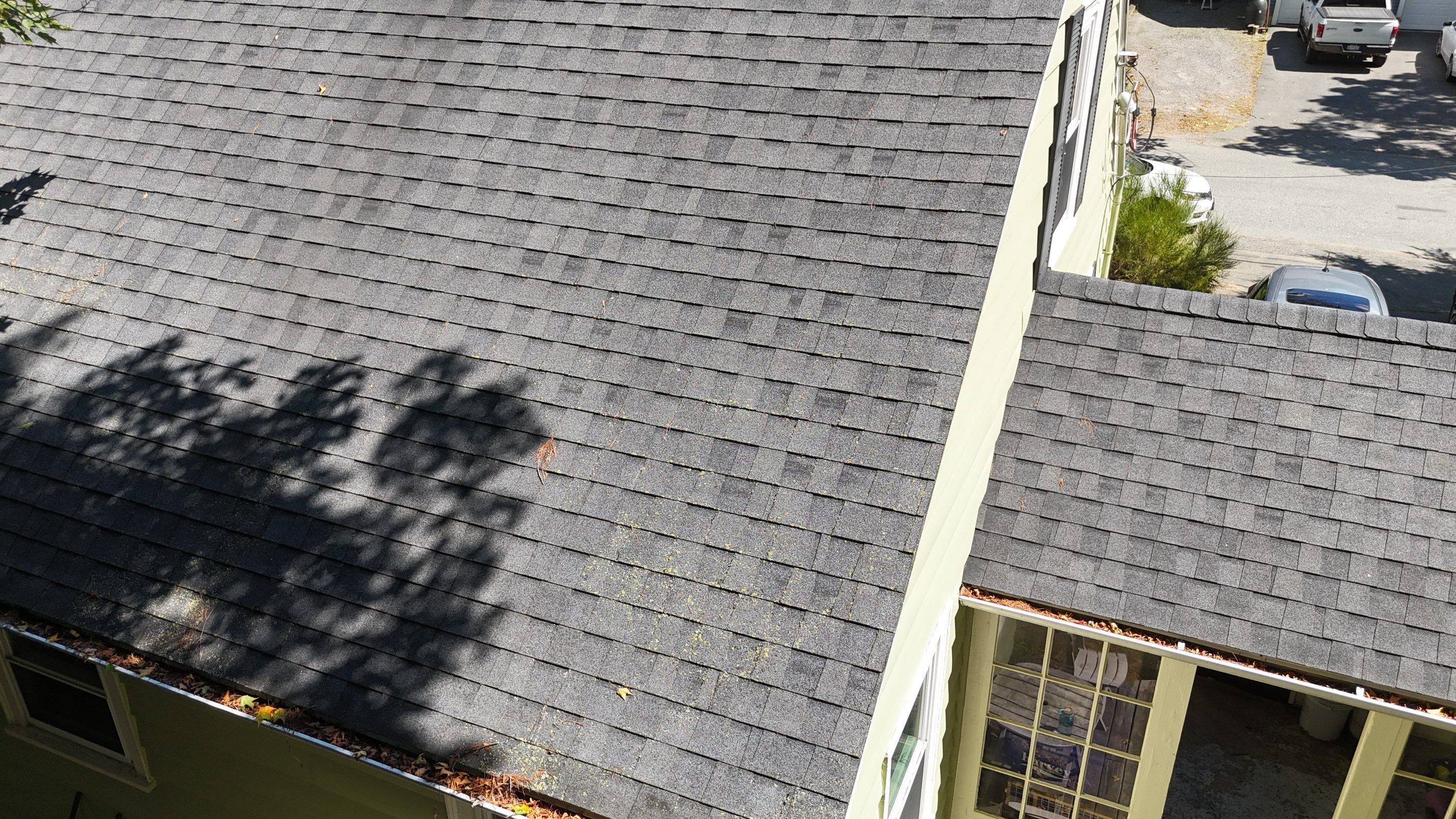 Roof Soft Wash & Gutter Cleaning – Maynard, MA by Mighty Dog Roofing of Greater Middlesex County