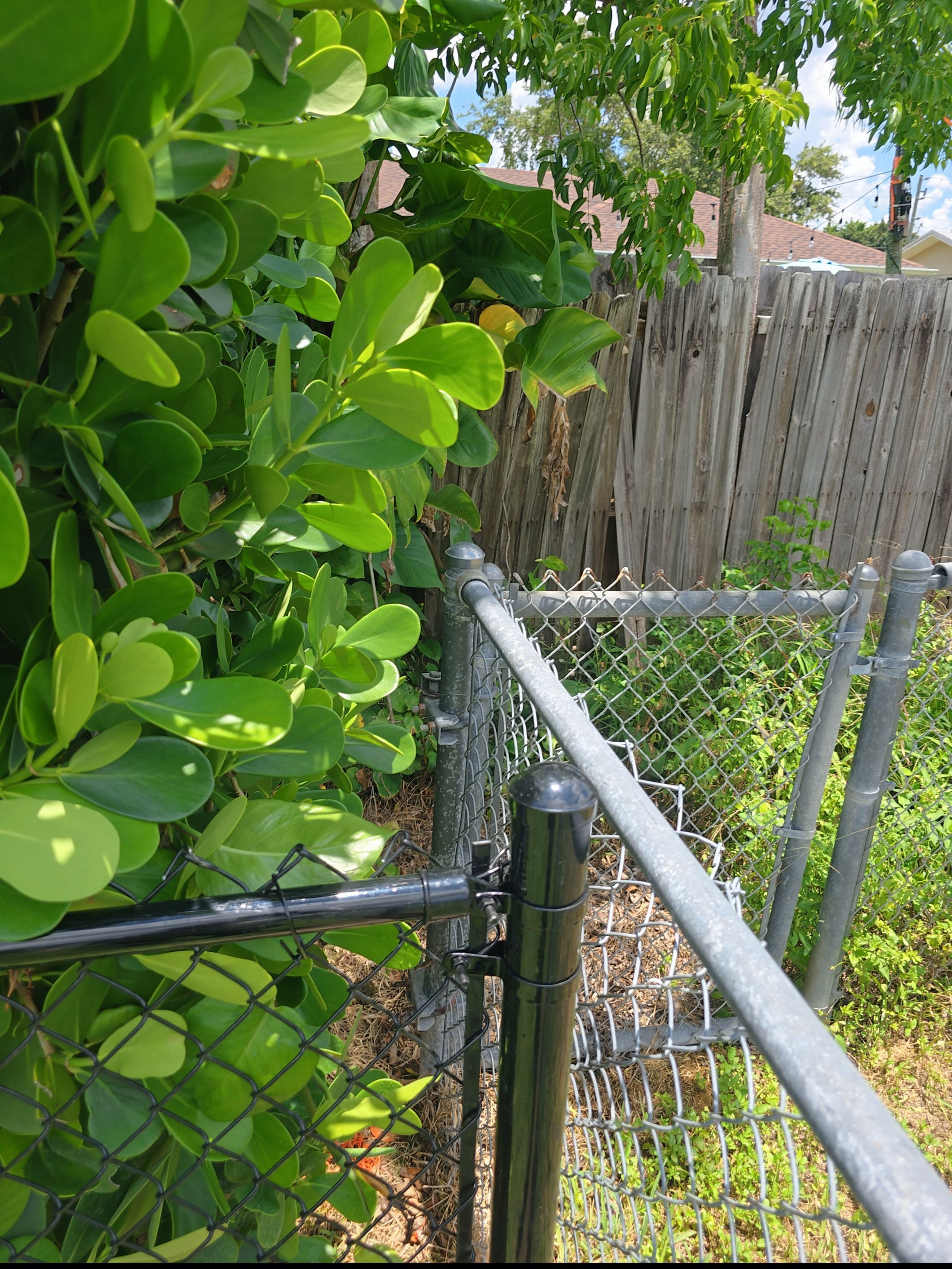 Residential Chain Link Fence Repair and Vinyl Privacy Gate Installation in Naples by True Fence LLC