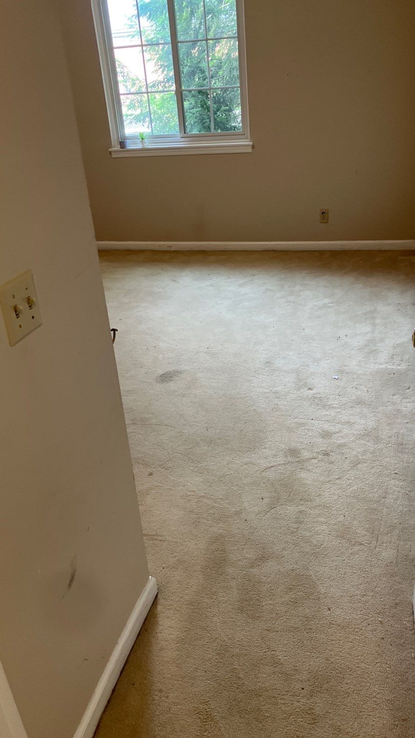 Beautiful new LVP flooring throughout this home! by Footprints Floors of Nashville