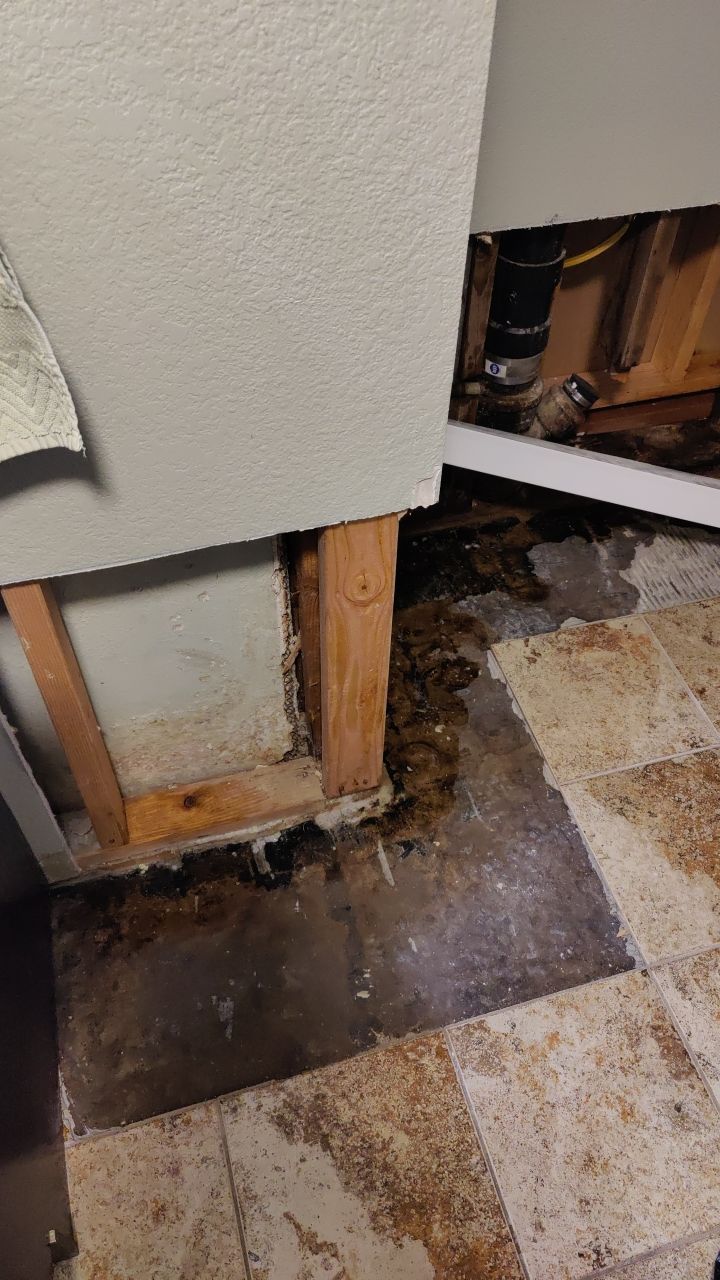 Water Damage and Mold Remediation by Accountable Home Services