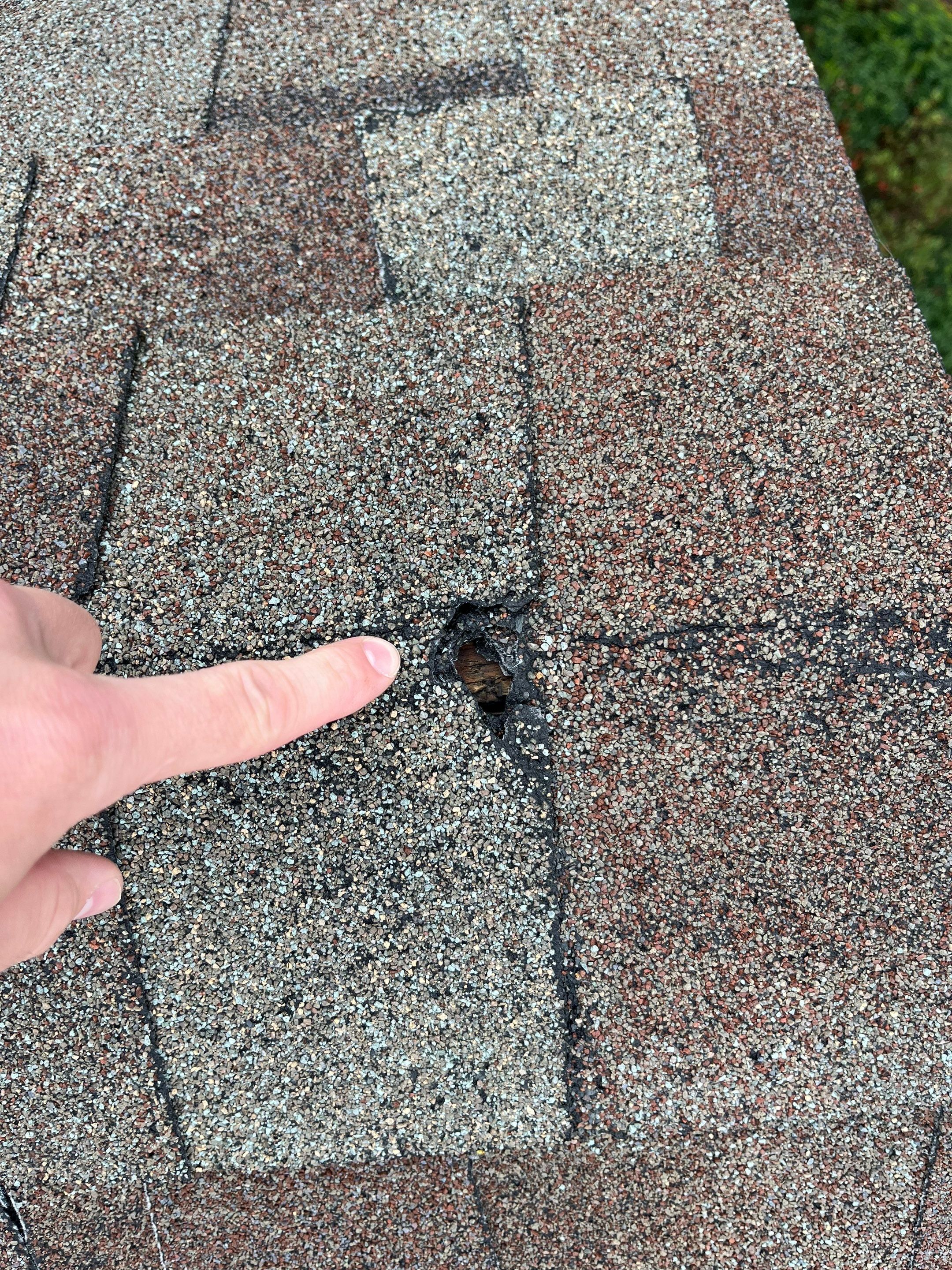 Architectural Shingle Roof Replacement and Skylight Installation in Hot Springs Village by Temple Roofing and Exteriors