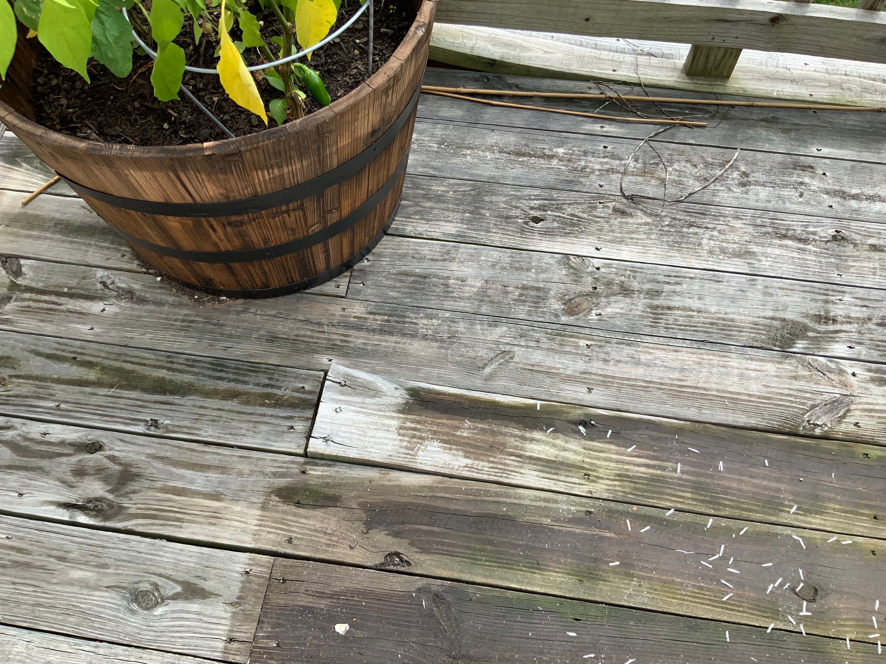 Deck Repair using Olympic Elite stains by Alpha Design Services