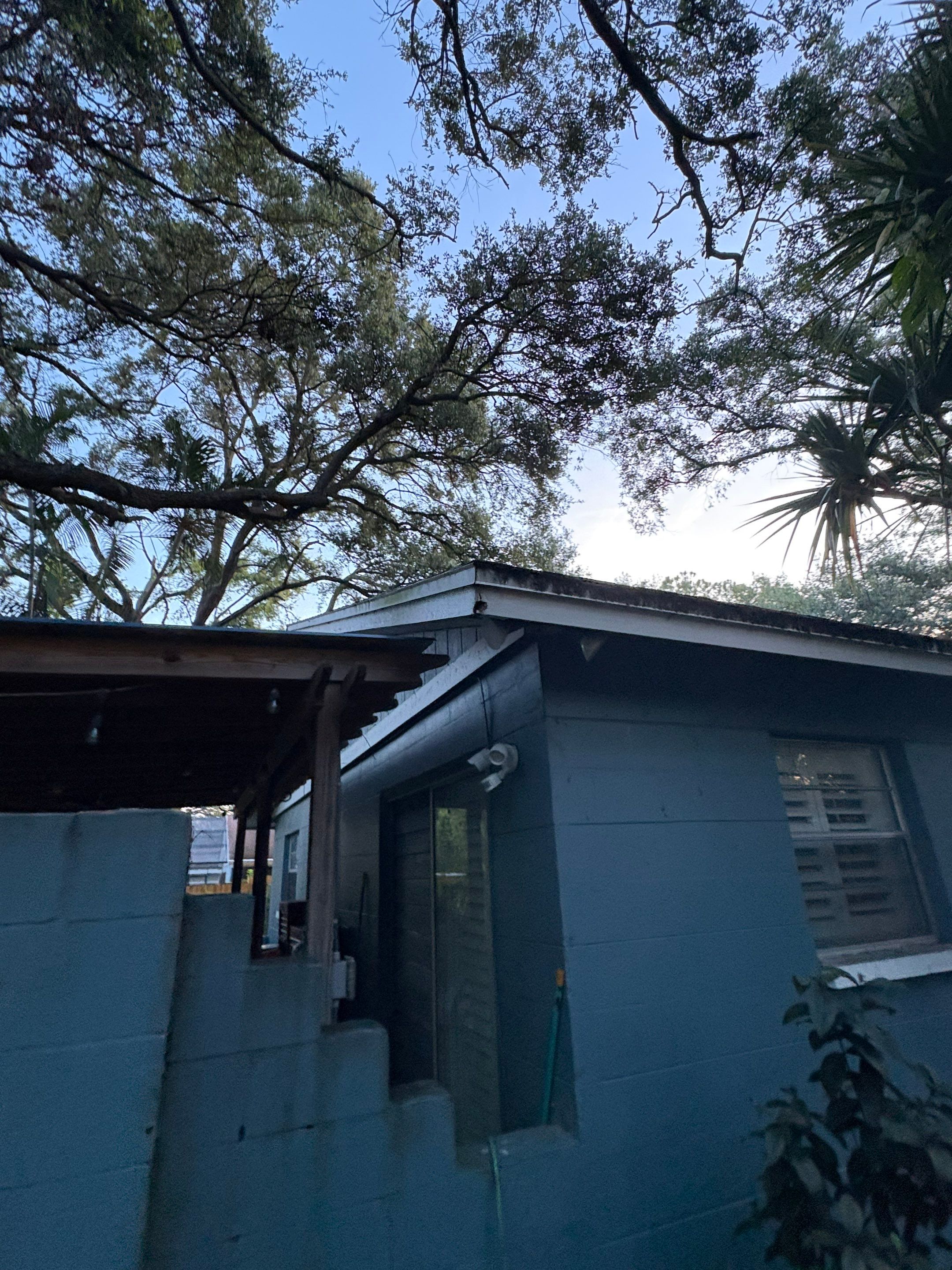 Project in Pinellas Park 33781 by Mitchell Roofing Company LLC 