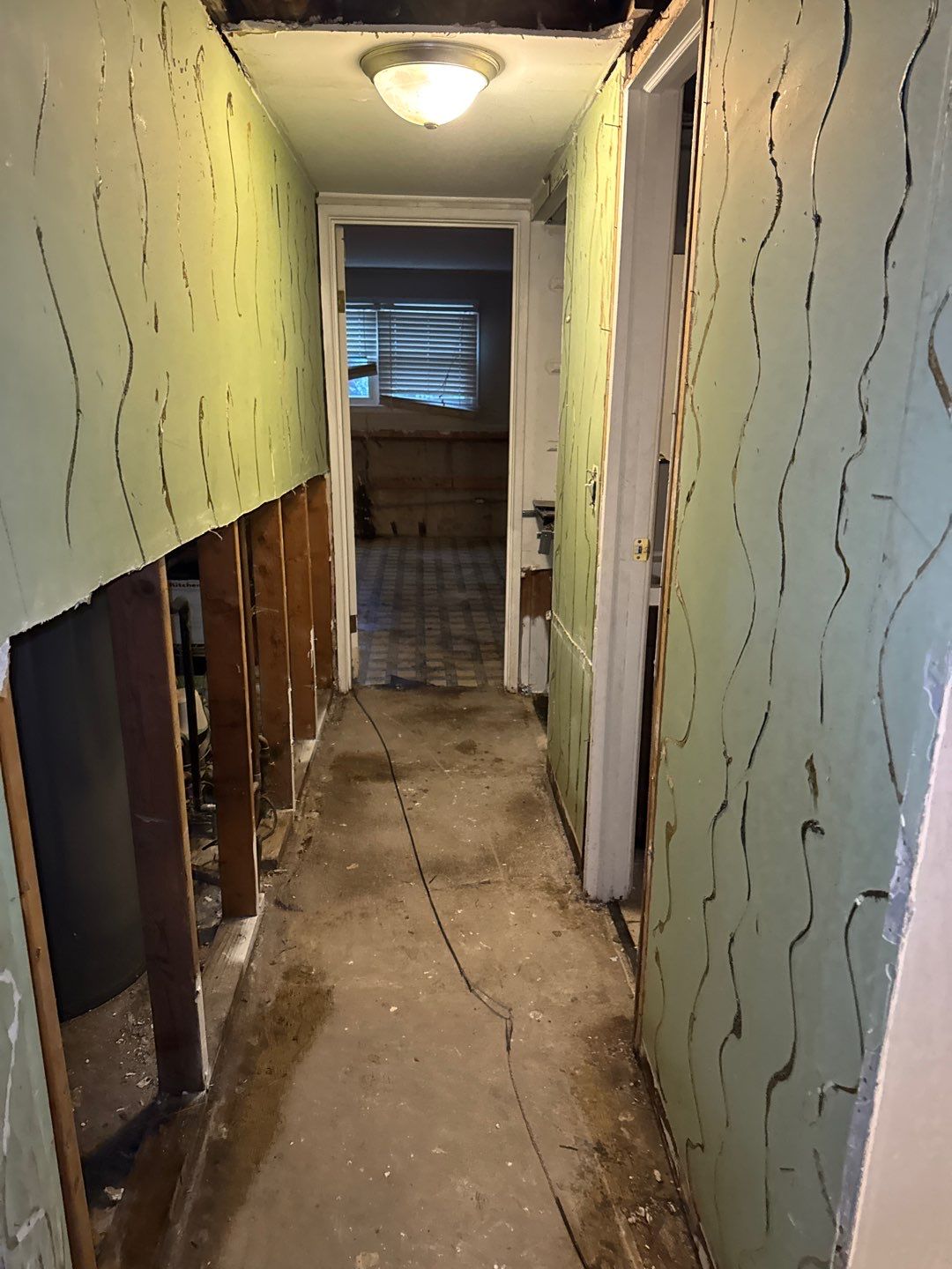 Mold Remediation Project by Chicagoland Water Medics