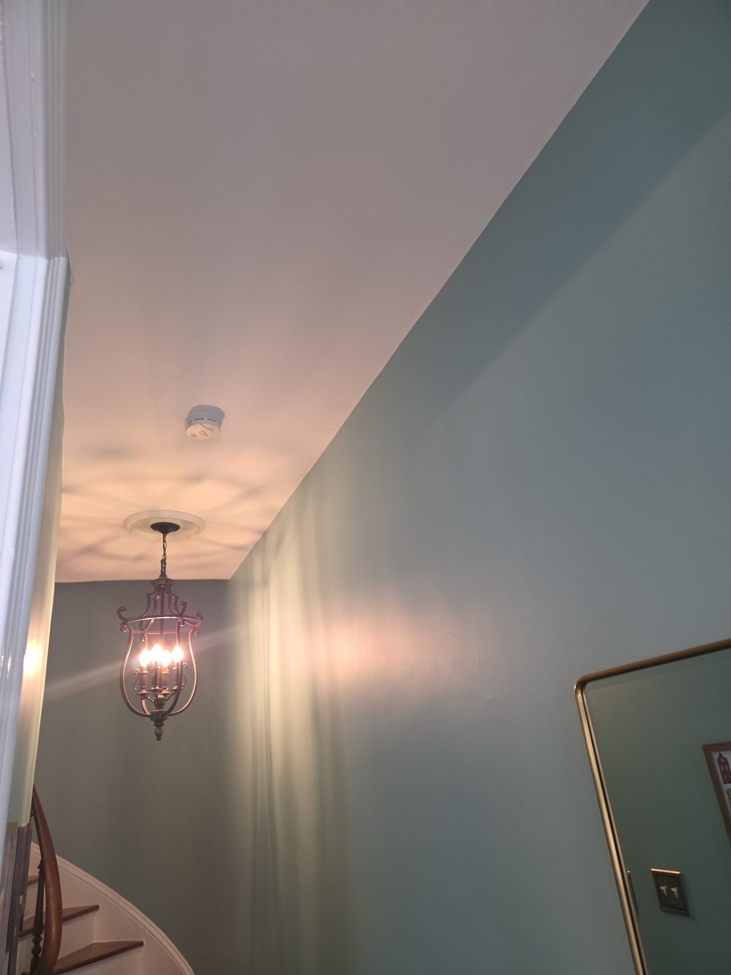 🏡 Bold Colors and Timeless Details Throughout This Fishtown Rowhome by Groovy Hues