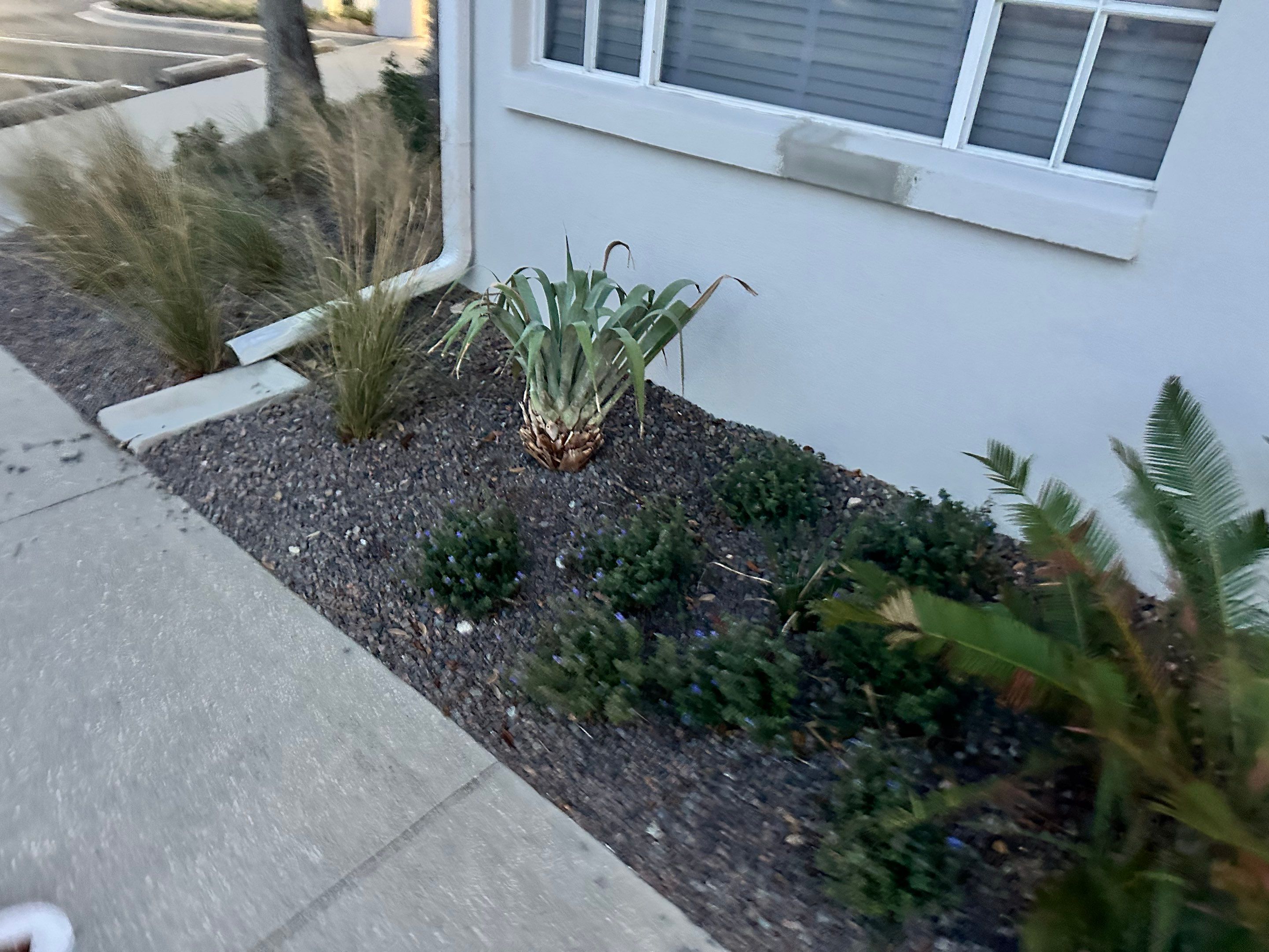 Gutter Repair and Resealing in Sarasota FL by Gutter Professors