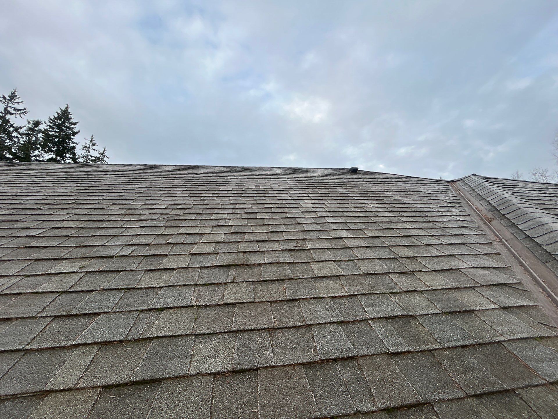 Project in Mukilteo by Peaks and Valleys Construction