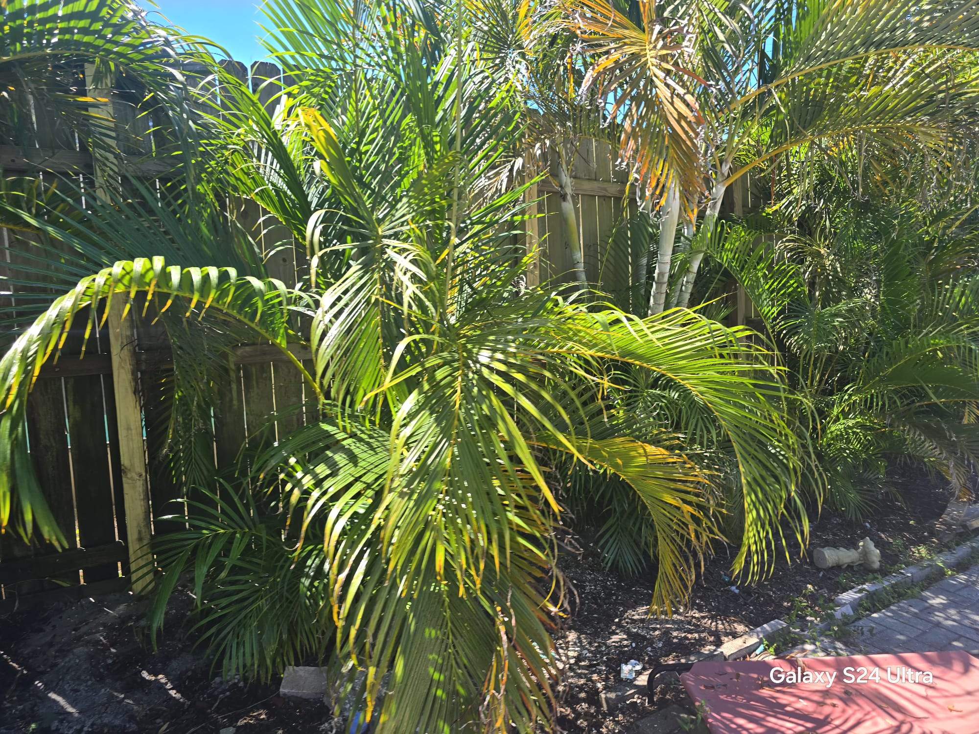 Residential Wood Privacy and Chain Link Fence Installation in Sarasota by True Fence LLC