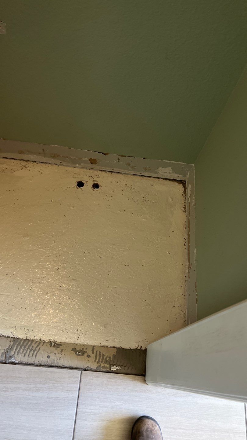 Mold Remediation by Accountable Home Services