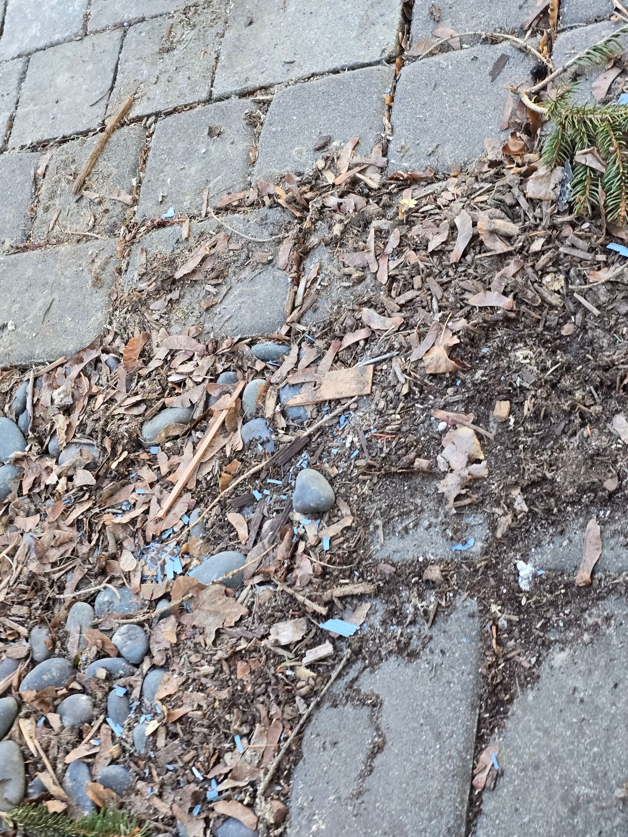 Complete exterior renovation in Norwood, MA by UBrothers Construction