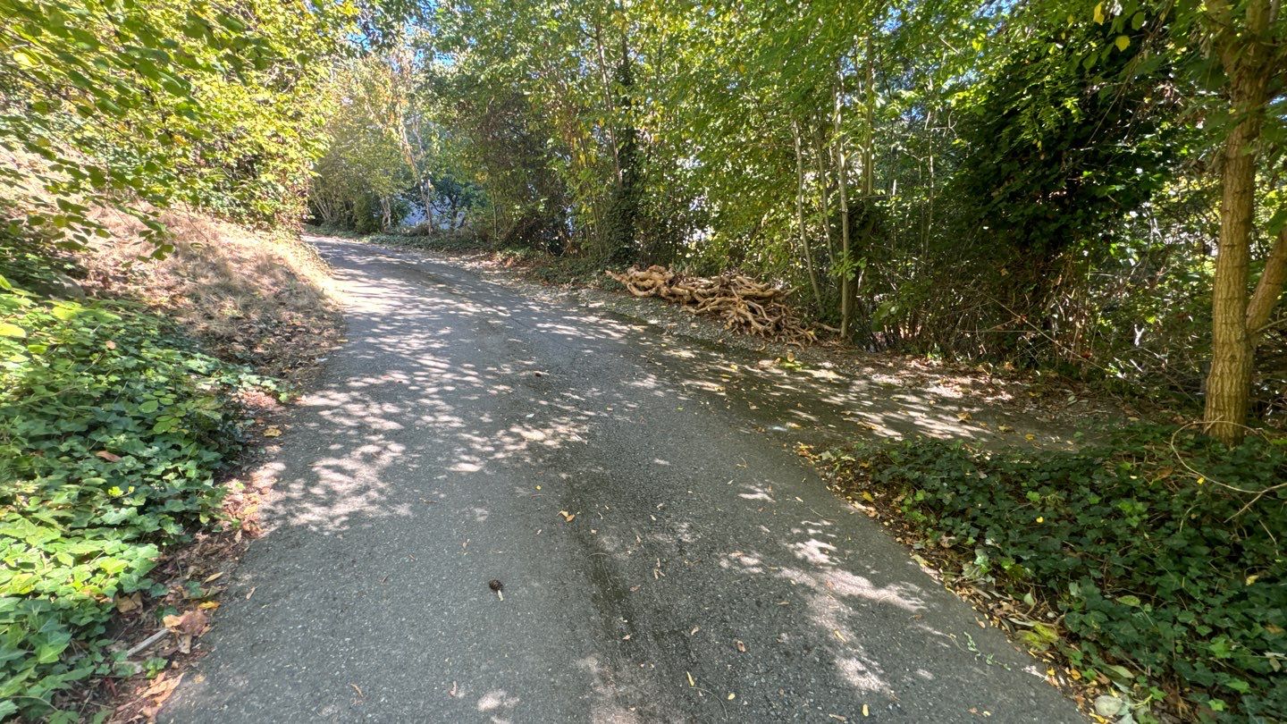 Asphalt Road Repair | Mercer Island  by Jireh Asphalt & Concrete Inc 