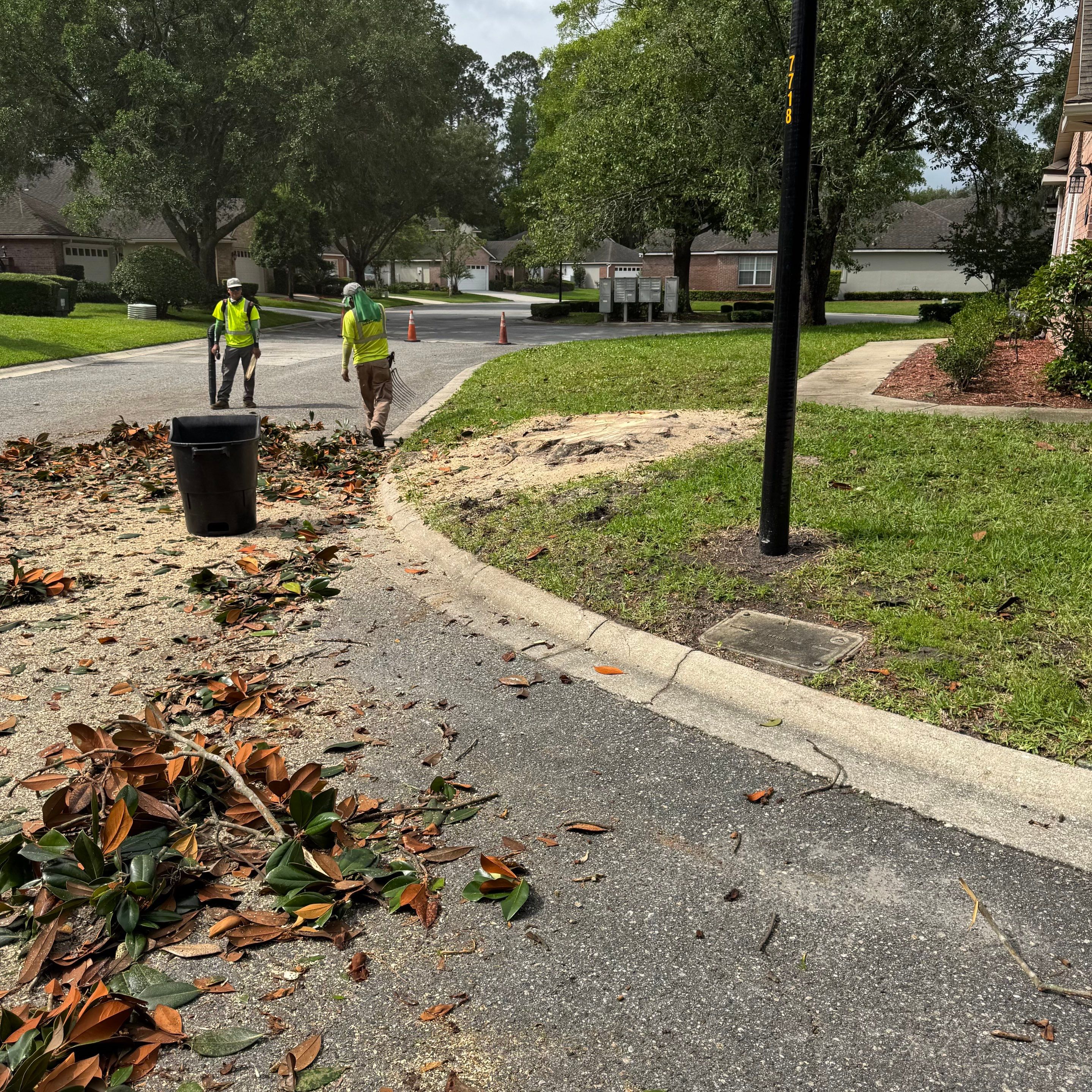 Deerwood Resident | Tree Removal by ProGreen Services