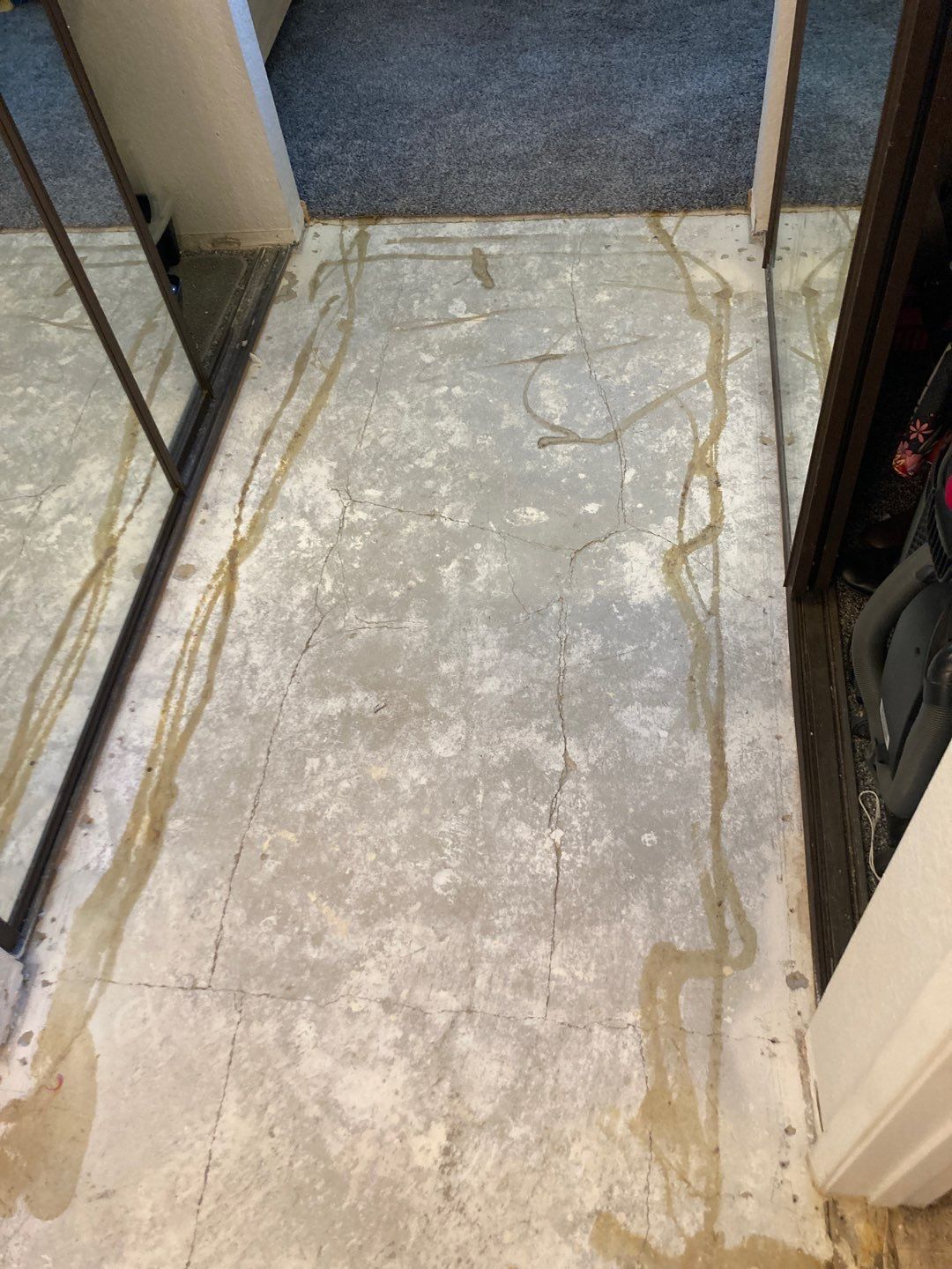Replace Carpet with LVP by Andre Handyman