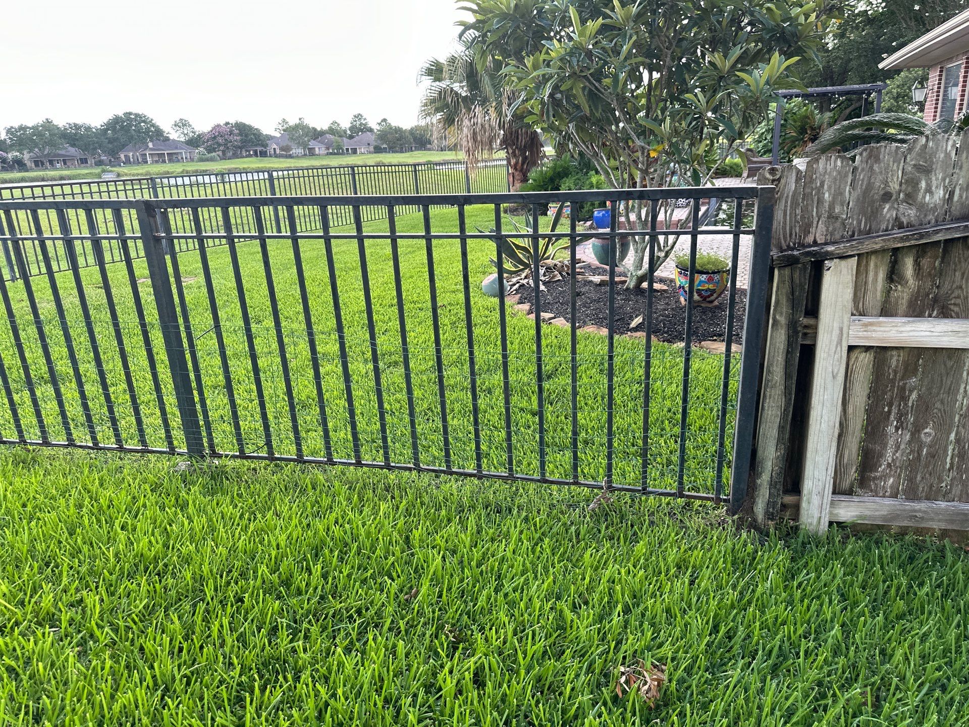 Stunning iron installation in Pearland by Tim's Fences