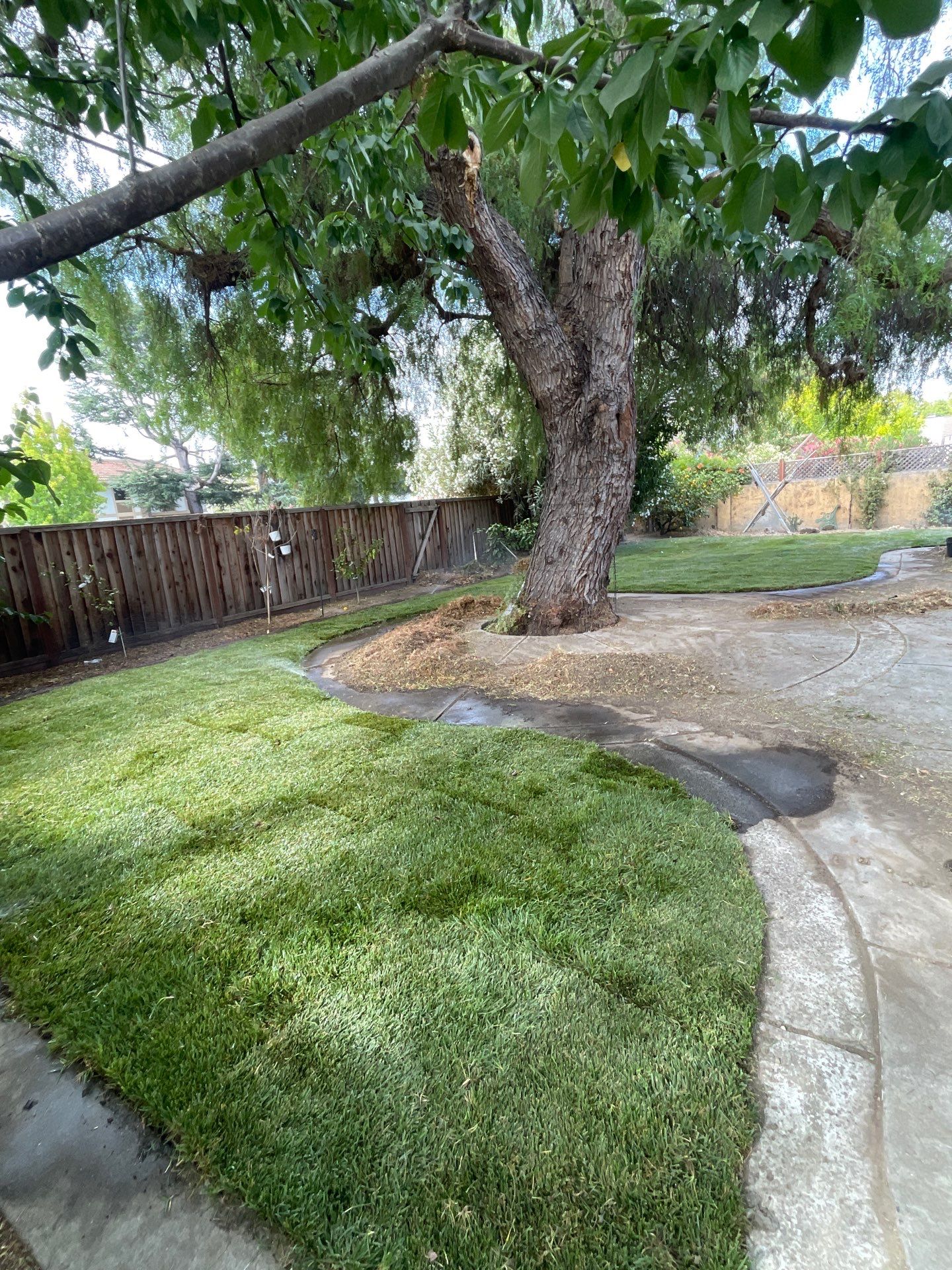 Project in Fremont by A - G Sod Farms