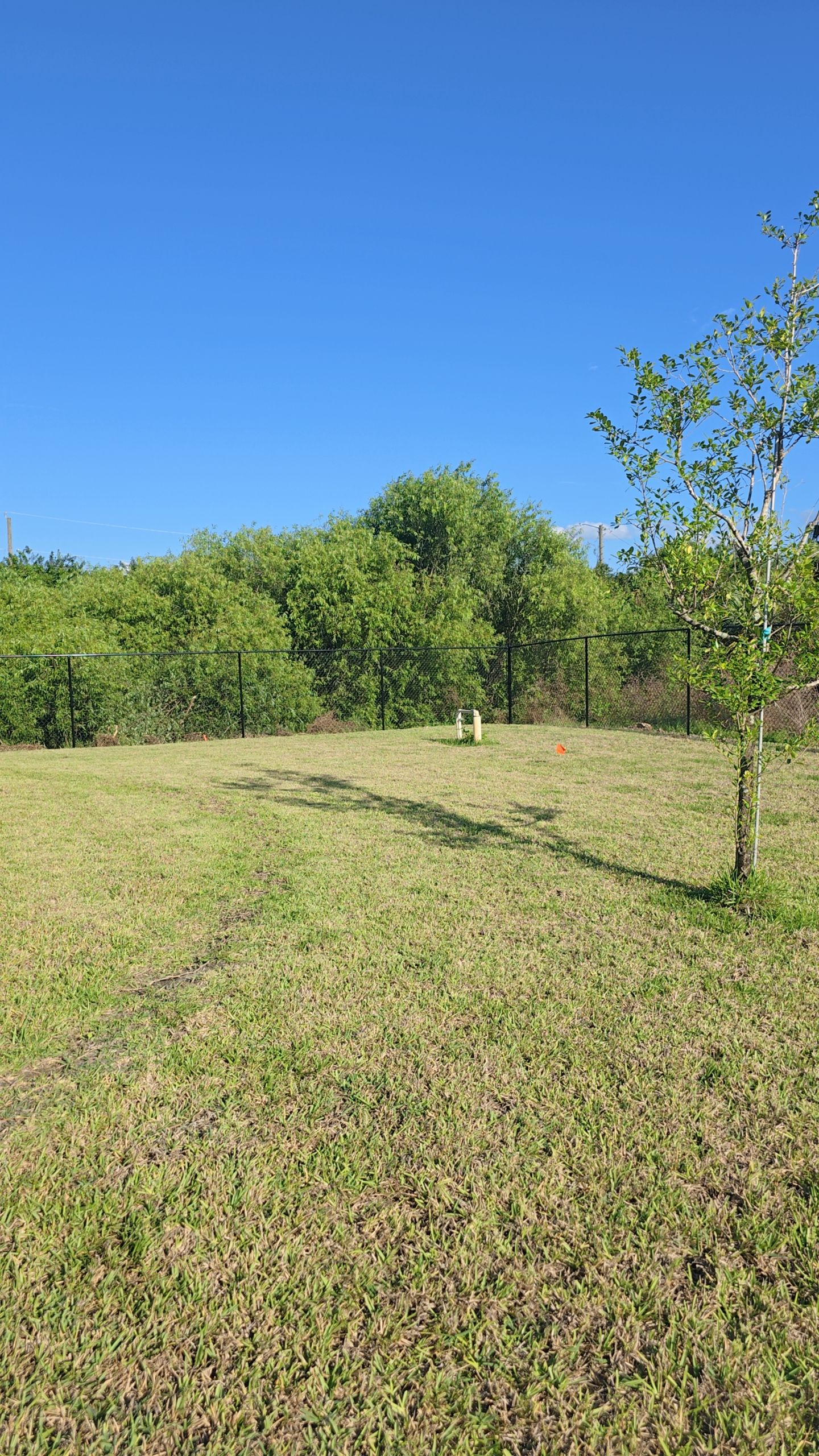 Chain Link Fence in Lehigh Acres by True Fence LLC