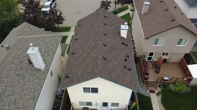 Autumn Brown on Mystique 