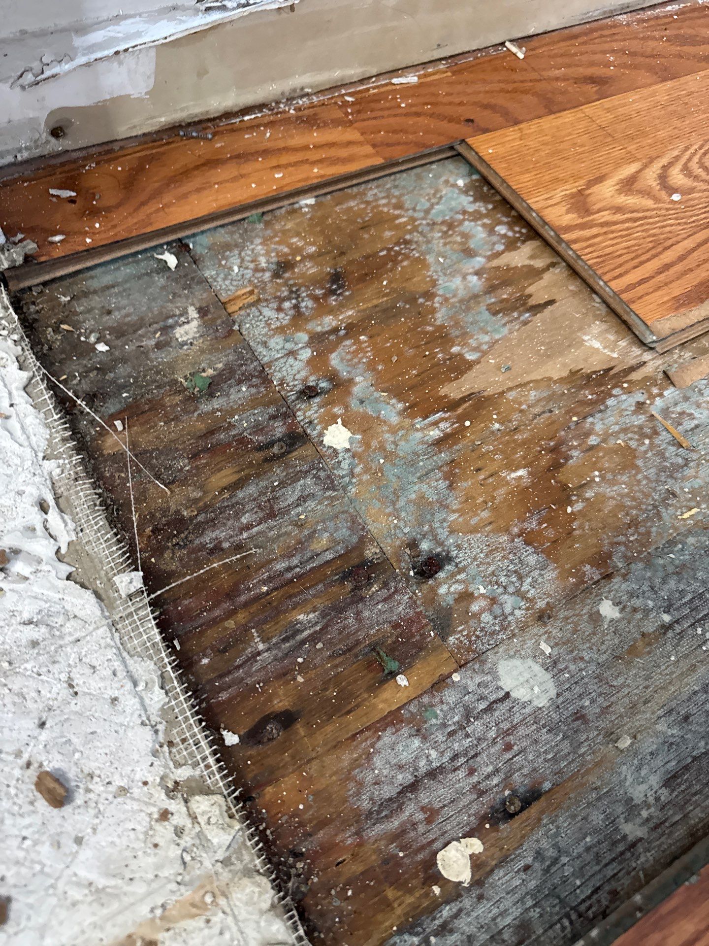 Project in Farmington Hills by EzDry Water Mitigation & Property Restoration