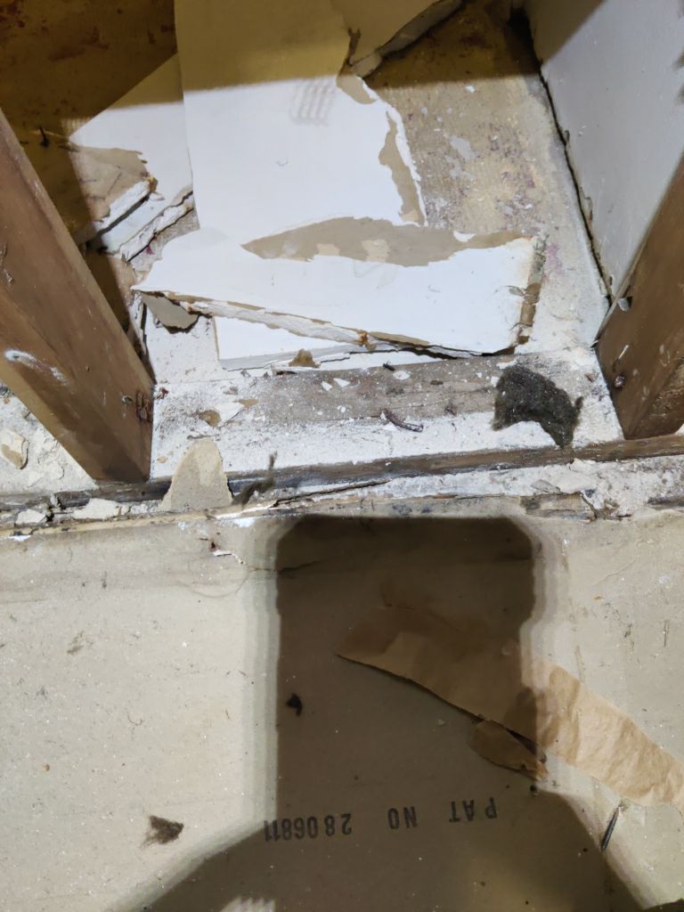 Mold Remediation in Basement by Accountable Home Services