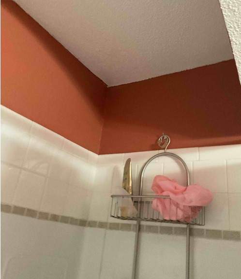 Bathroom Remodel using Bathtub by The Shower Company