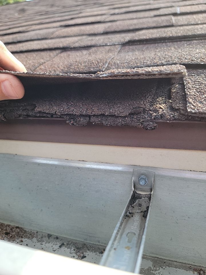 Brand: Atlas Pinnacle Color: Pristine Scotchguard Hickory Drip: Royal Brown by Eagle Eye Roofing