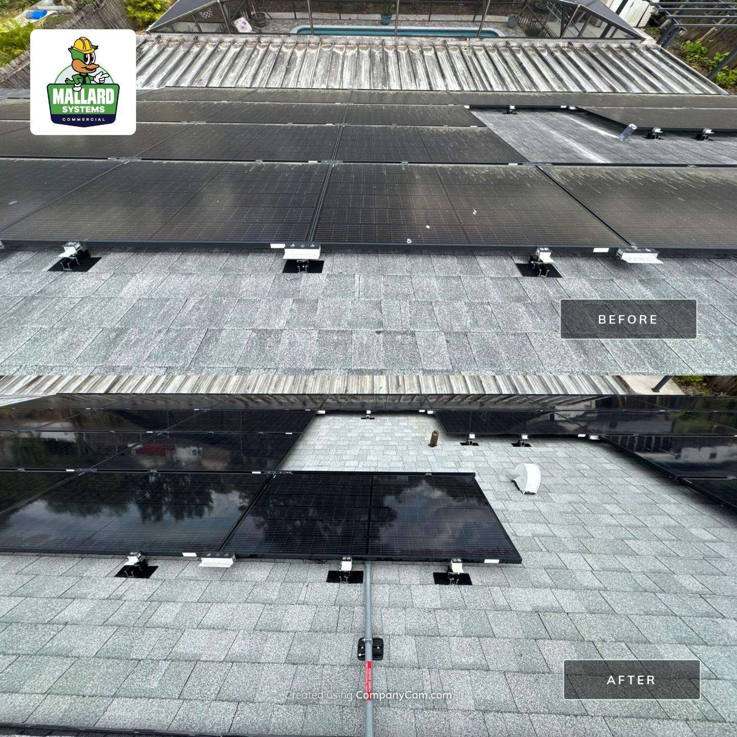 Roof & Solar Panel Cleaning by Mallard Systems