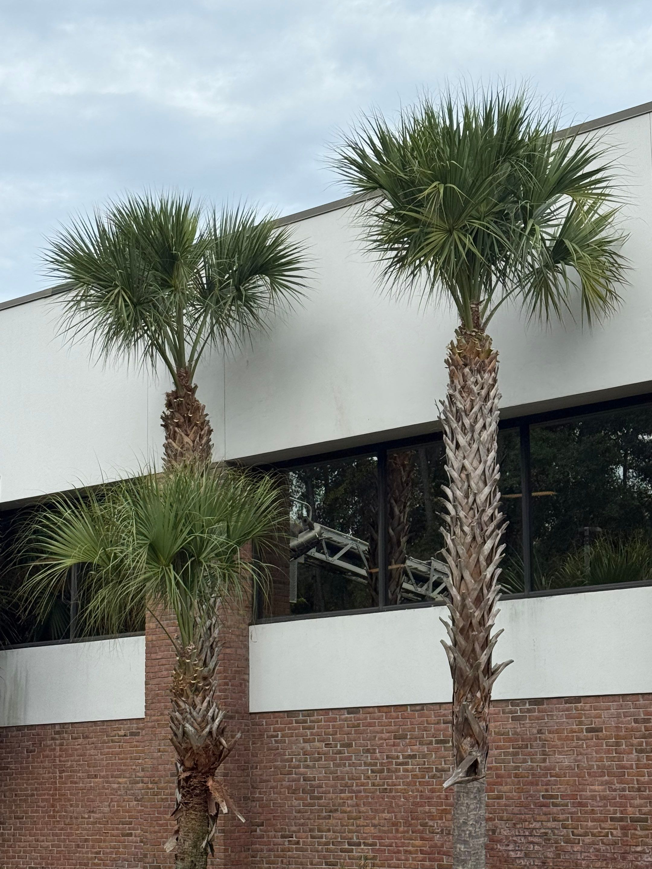 Volunteer Work | Episcopal High School of Jacksonville by ProGreen Services