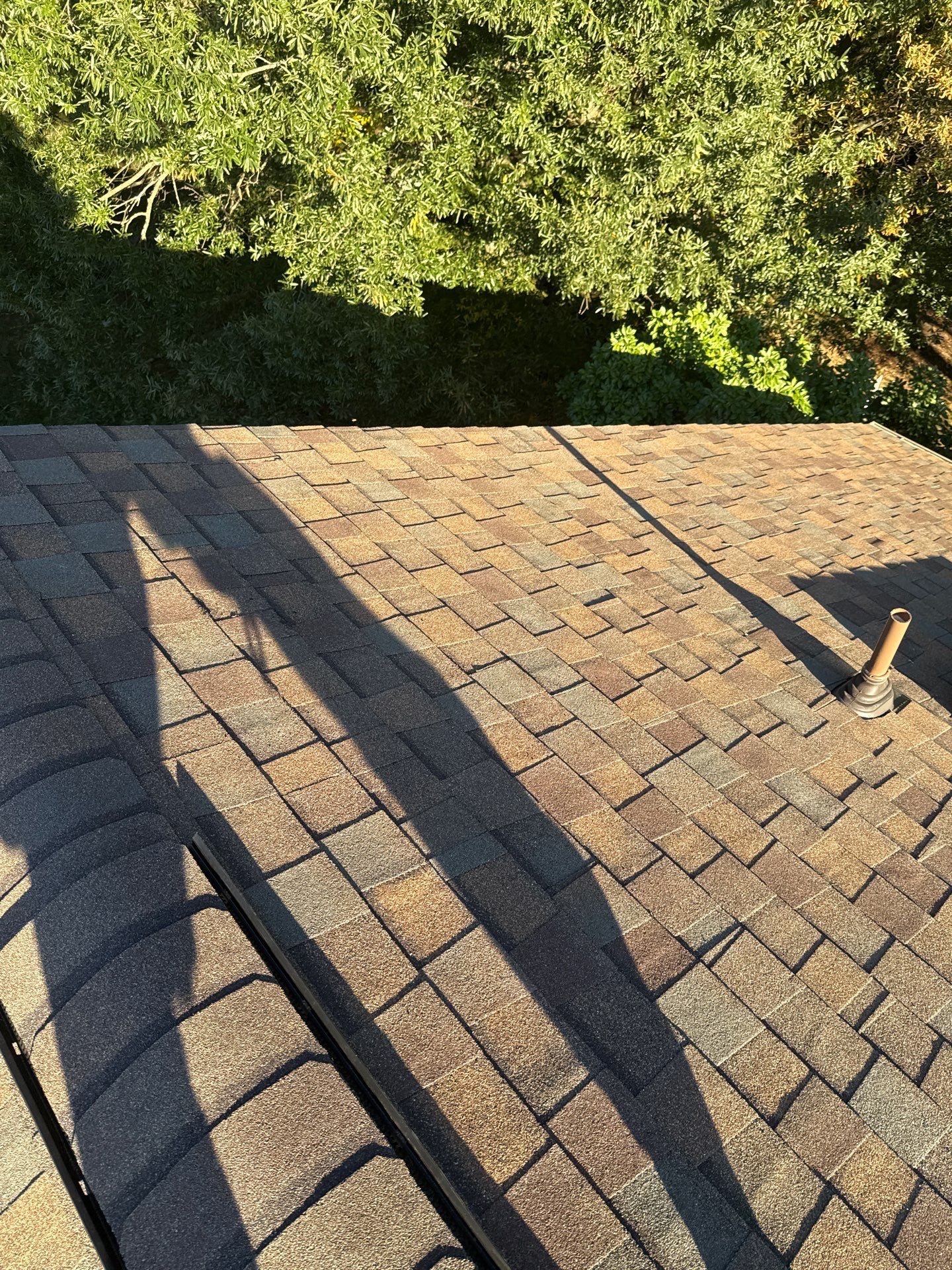 Alexandria : Residential Roof Replacement with CertainTeed Landmark Pro in Max Def Heather Blend  by RM Banning, Inc.