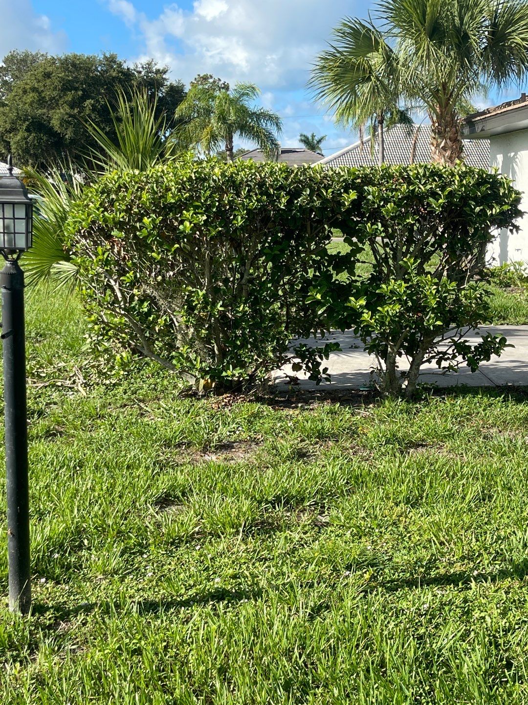 Nokomis, FL 6ft. Tall White Vinyl Privacy Fence by Asap fence and gates, LLC