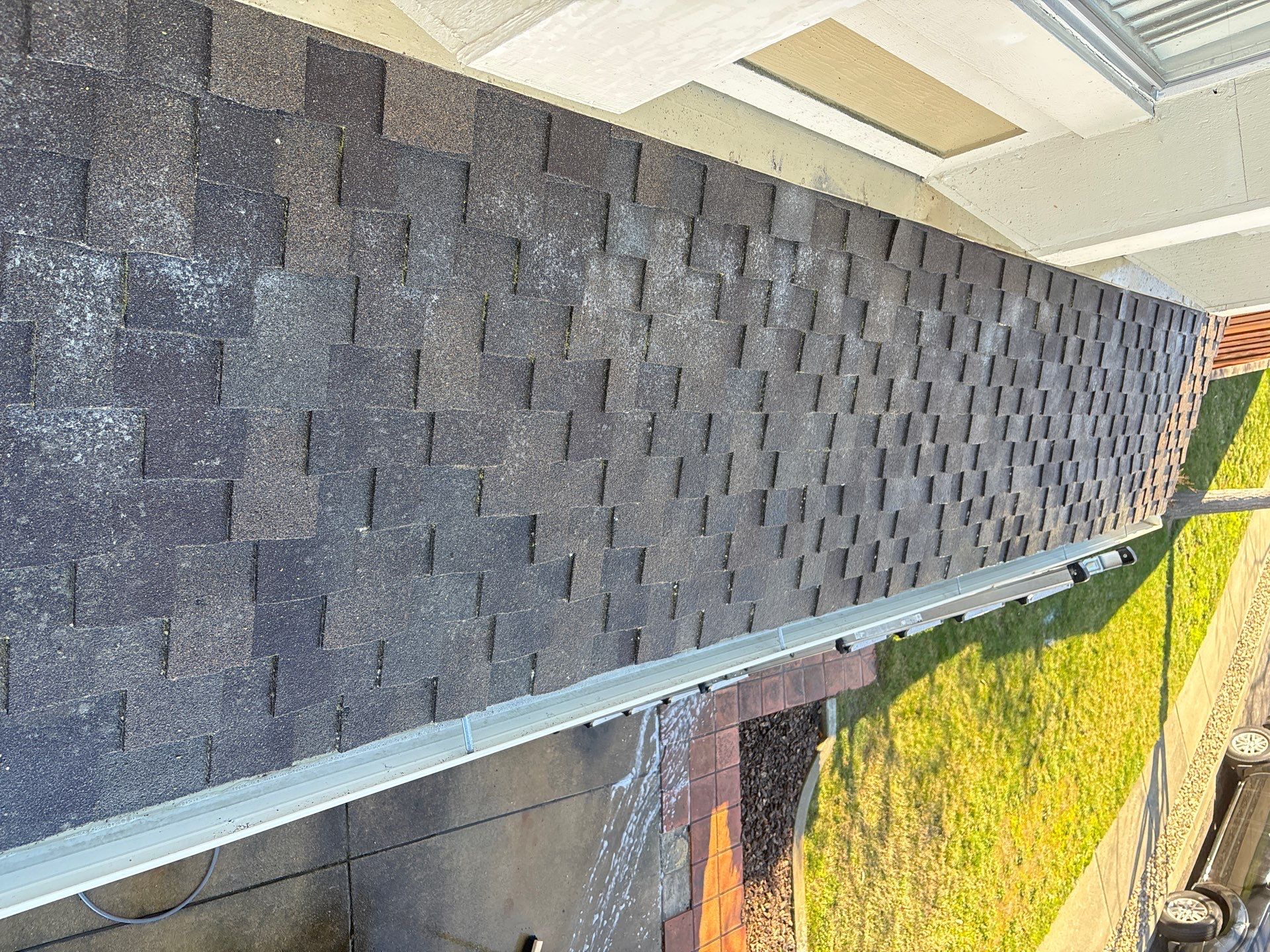 Moss Removal by Top Elevation