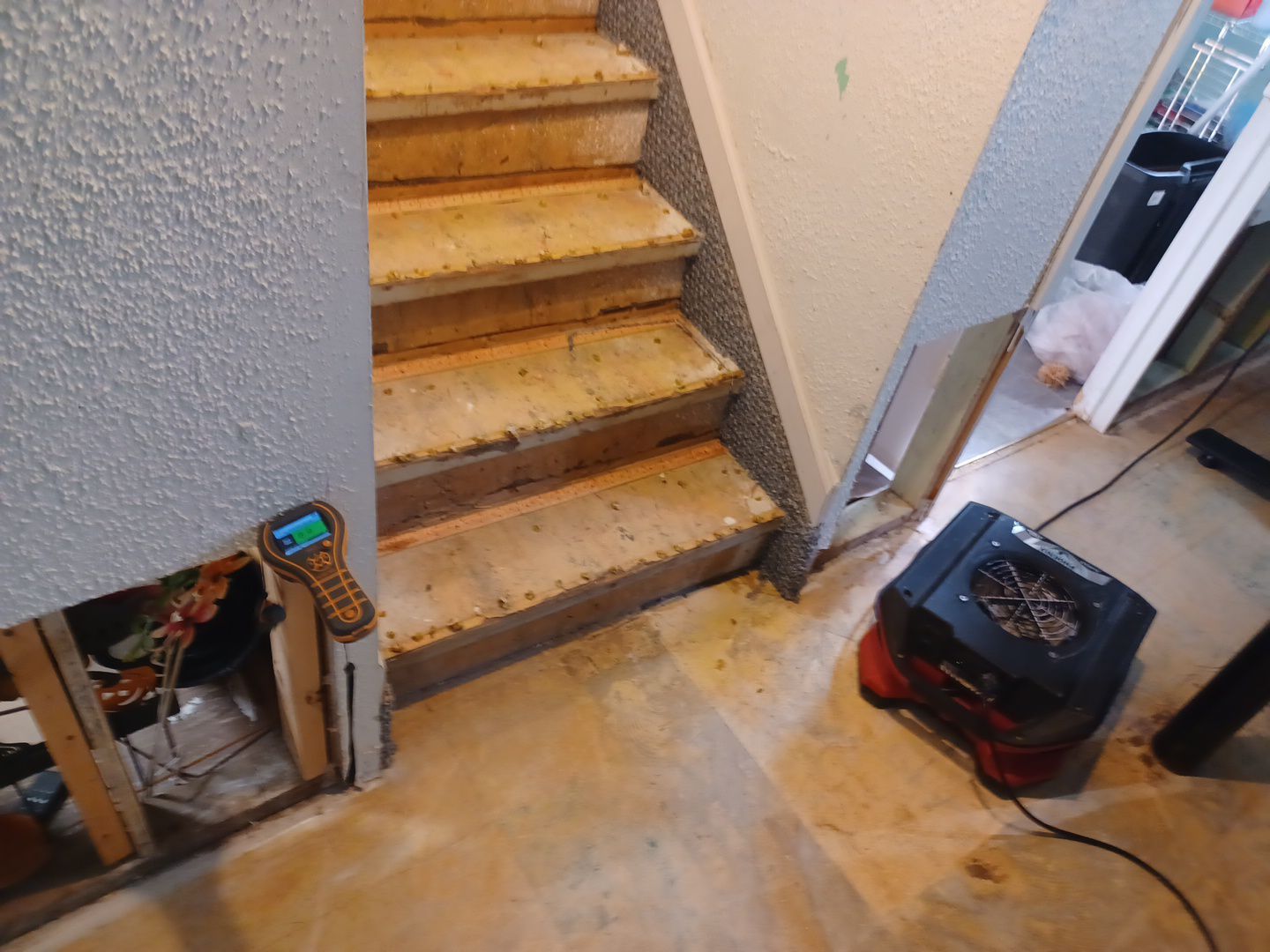 Project in St Clair Shores by EzDry Water Mitigation & Property Restoration