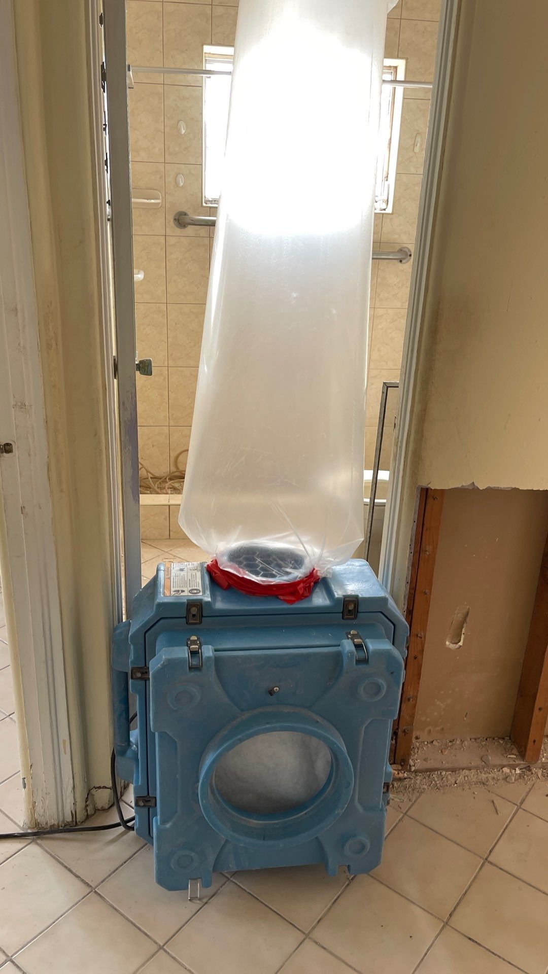 Mold Remediation  by THE RAPID TEAM