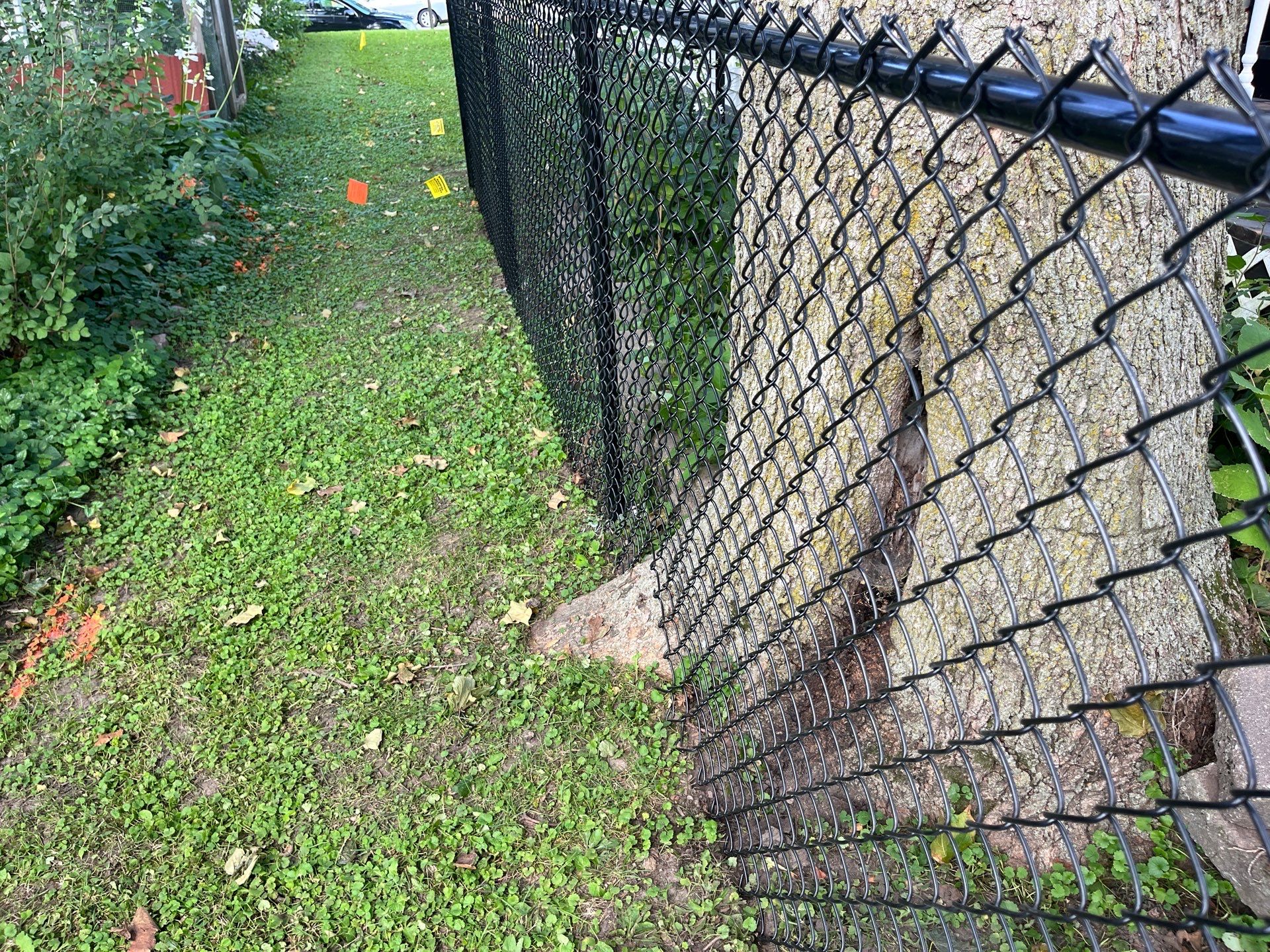 Black Chain Link Perimeter Fence and Gate Installation in Shell Rock by Perfect Picket Fence and Stain