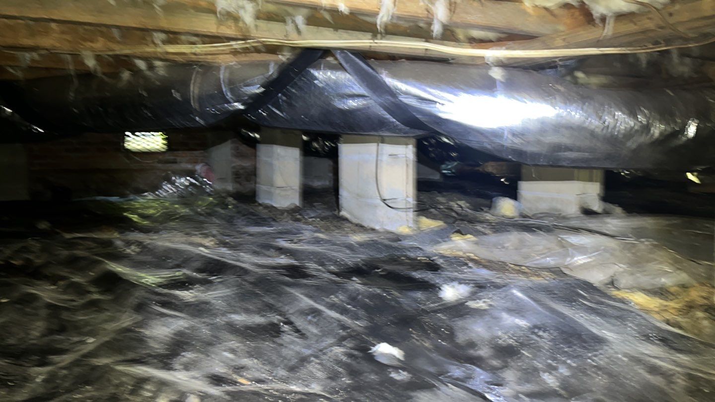 Impact Choice Encapsulation using YCS Pro Cleaner by Impact Crawlspace