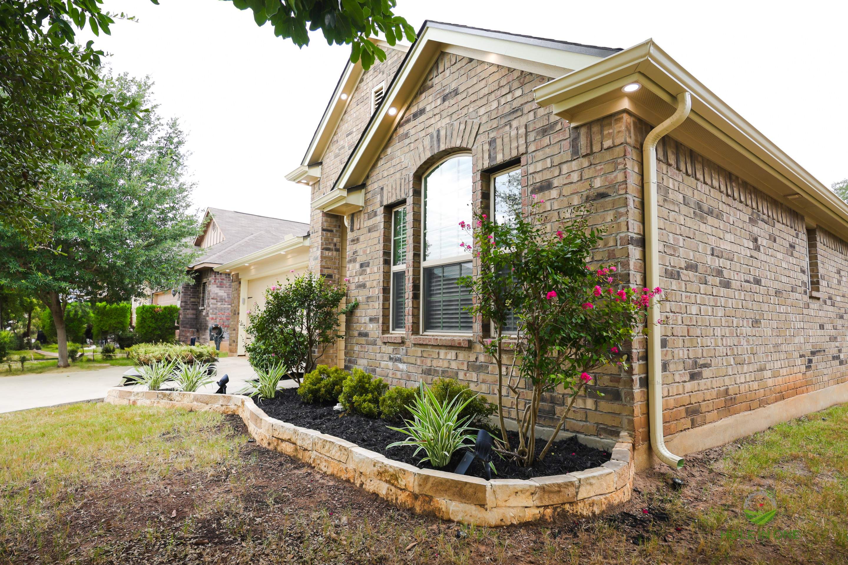 Wortham Oak, San Antonio Tx. by Hole In One Lawns, LLC