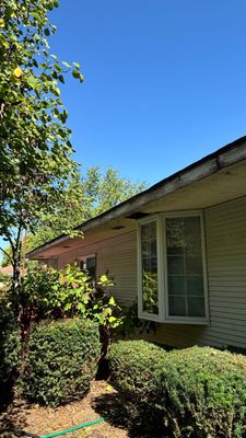 Turtle Shell gutter protection installation in Morris, IL 60450, photograph 12