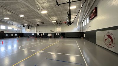 Mercury Remediation - Gym Flooring