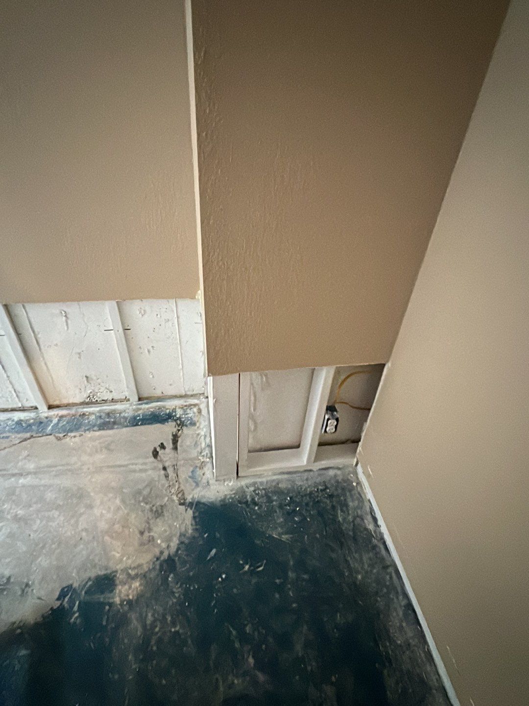 Mold Damage by Accountable Home Services