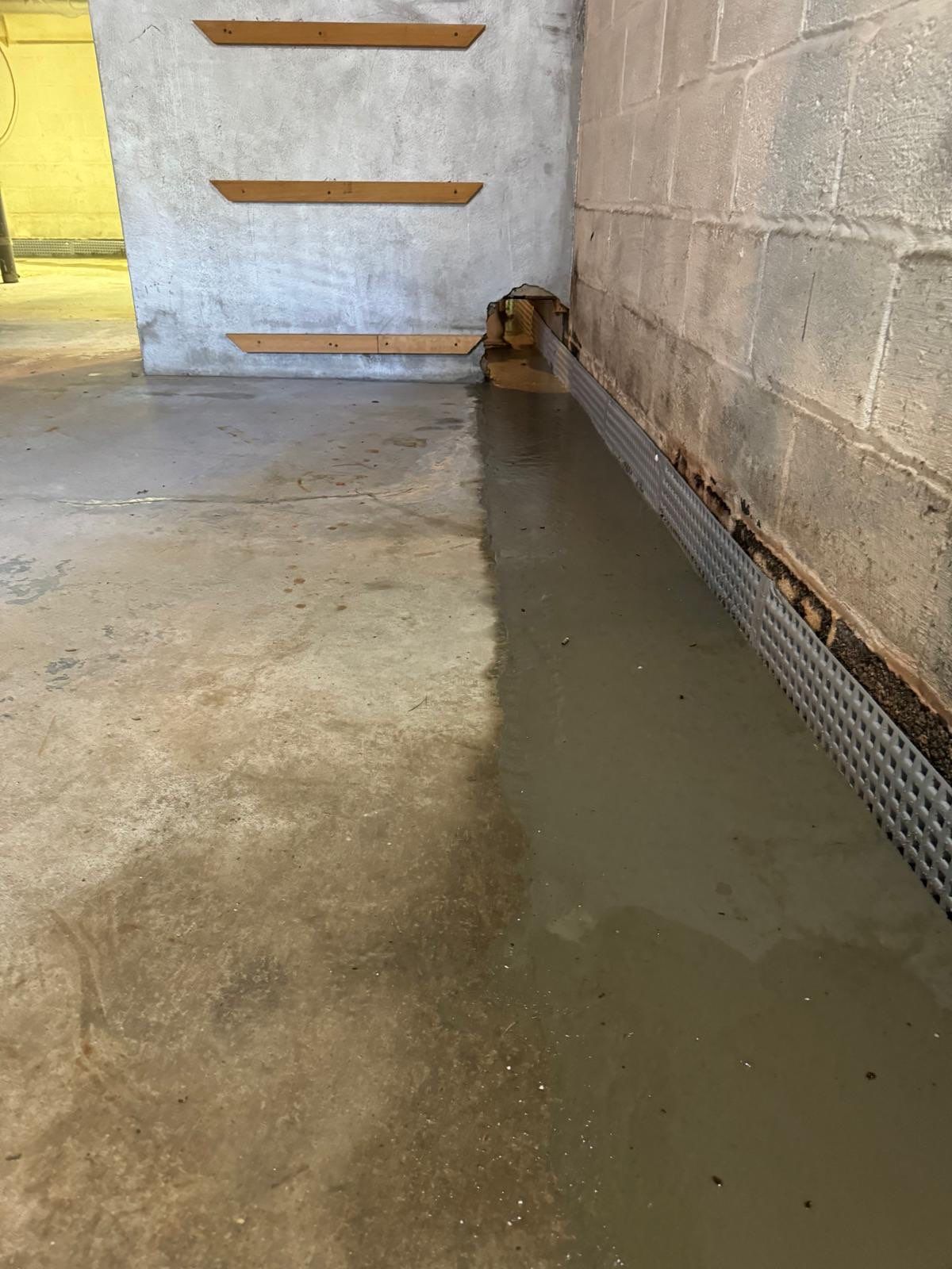 Interior French Drain Washington Township, NJ by Pure Service Pro, LLC 