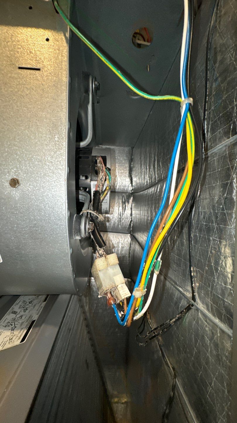 Air Duct Cleaning in Clermont by Hygienic Air, Inc