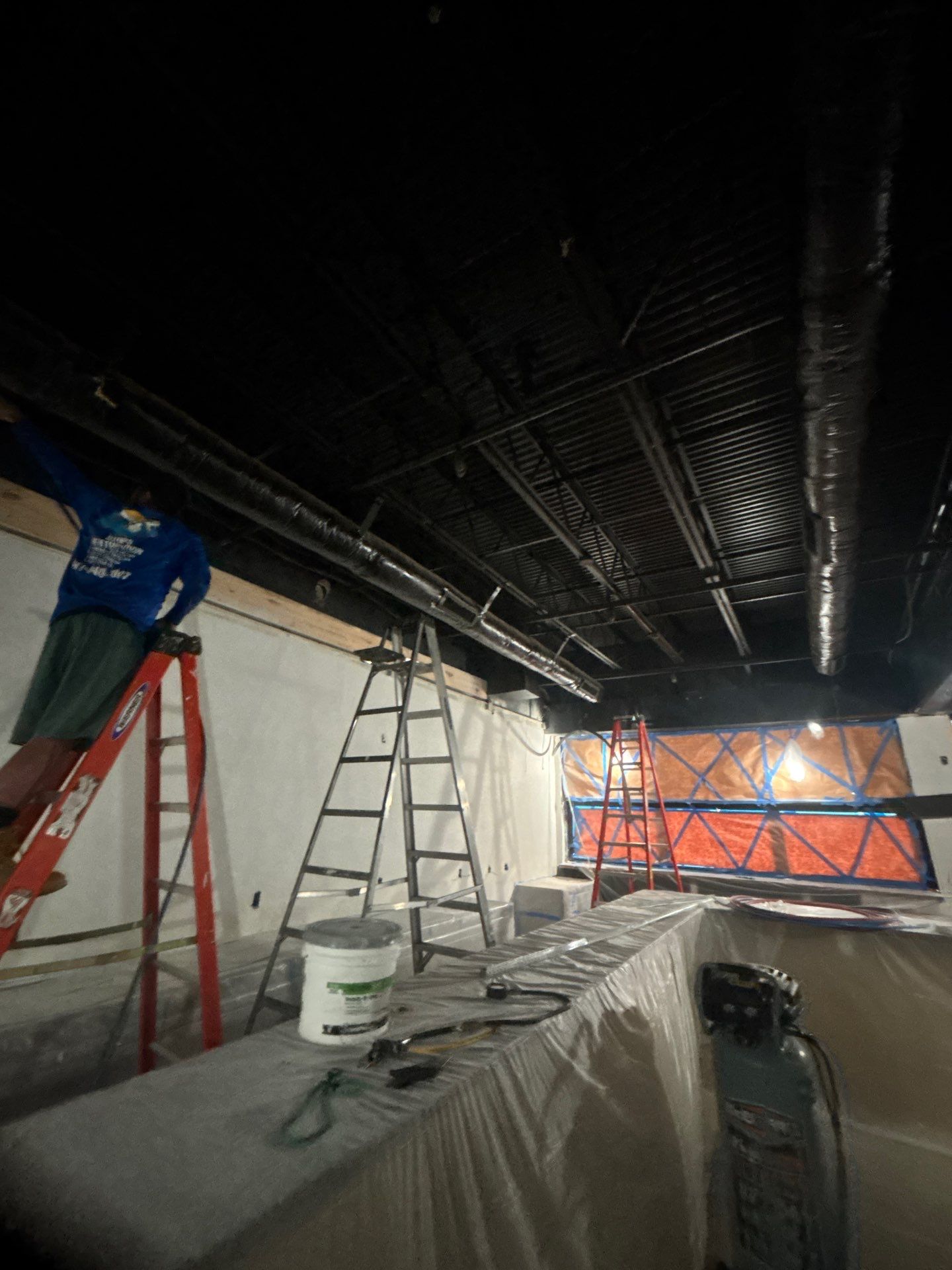 Commercial Building Mold Removal In Clearwater by Ampm Restoration Services