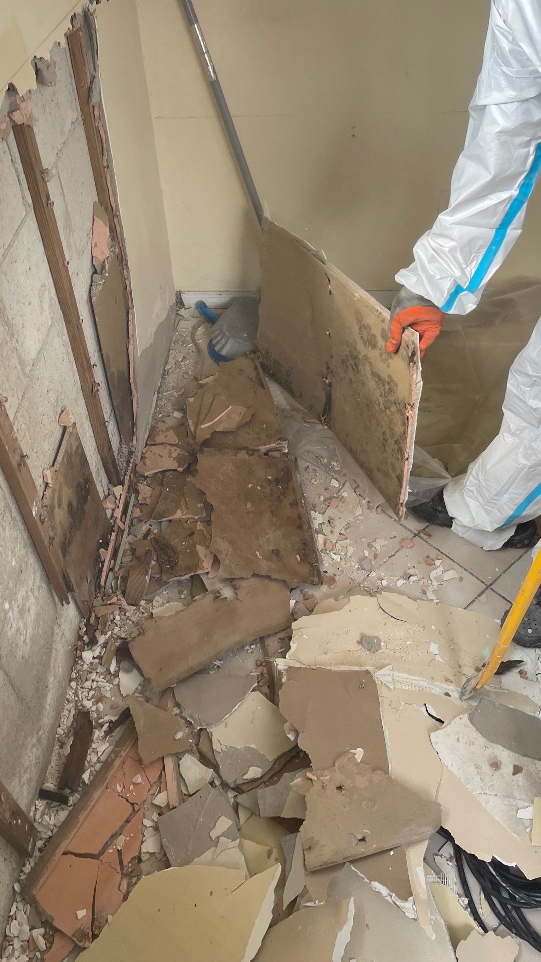 Mold Remediation  by THE RAPID TEAM