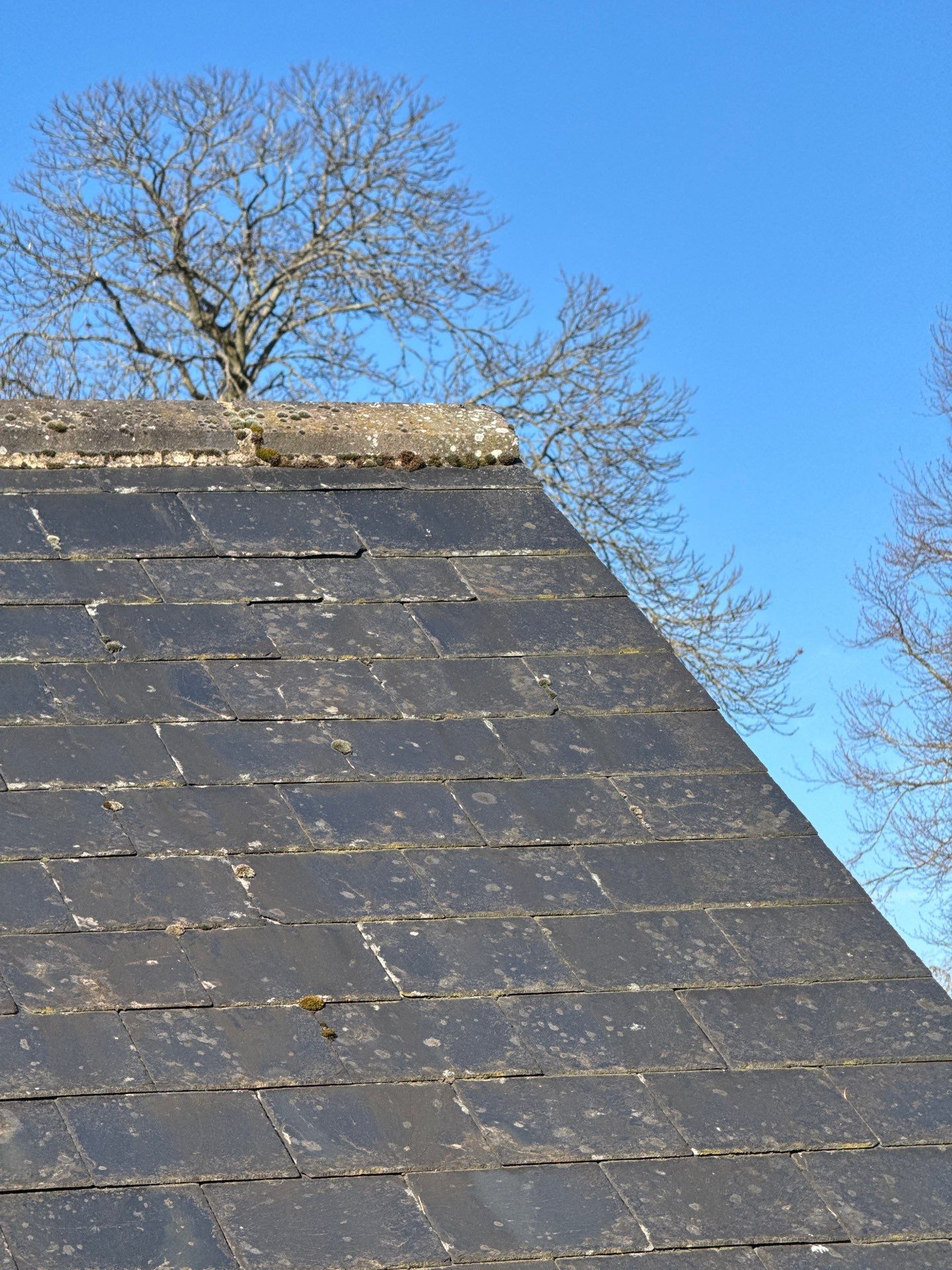Render and Roof clean using Softwash Equipment by Ges Exterior Cleaning ltd