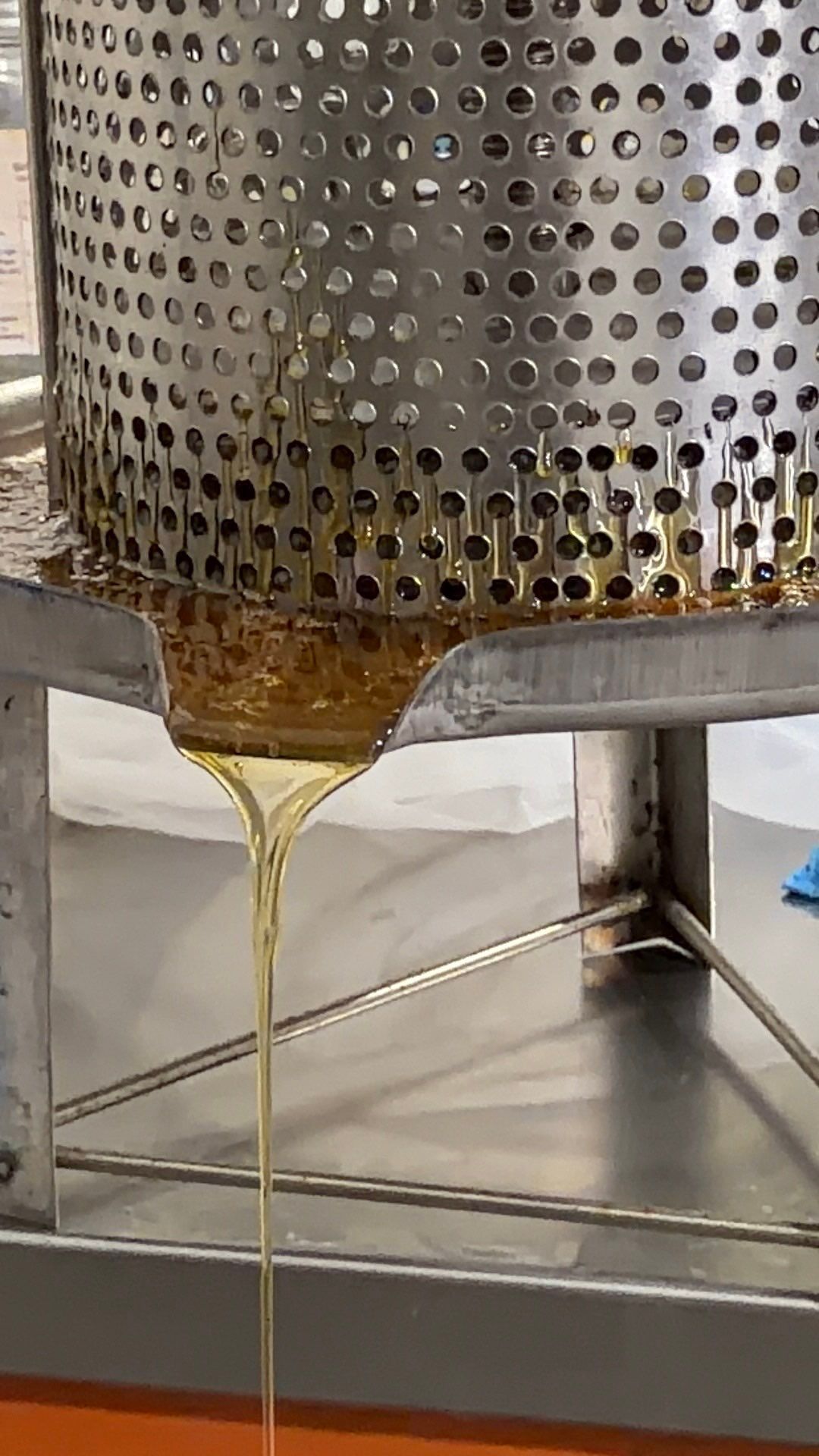 Project in Royse City, TX by Rockwall Honey Bee Company