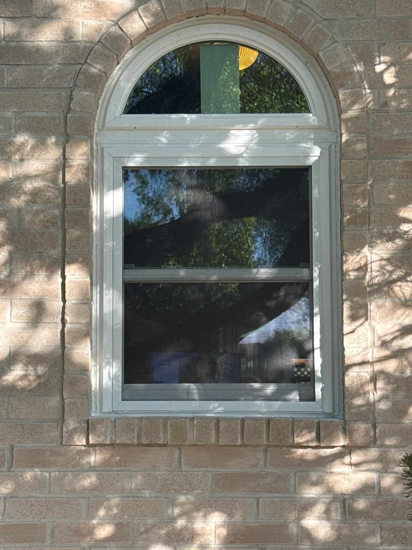 Make that Green, Baby! by Bayfront Roofing and Construction