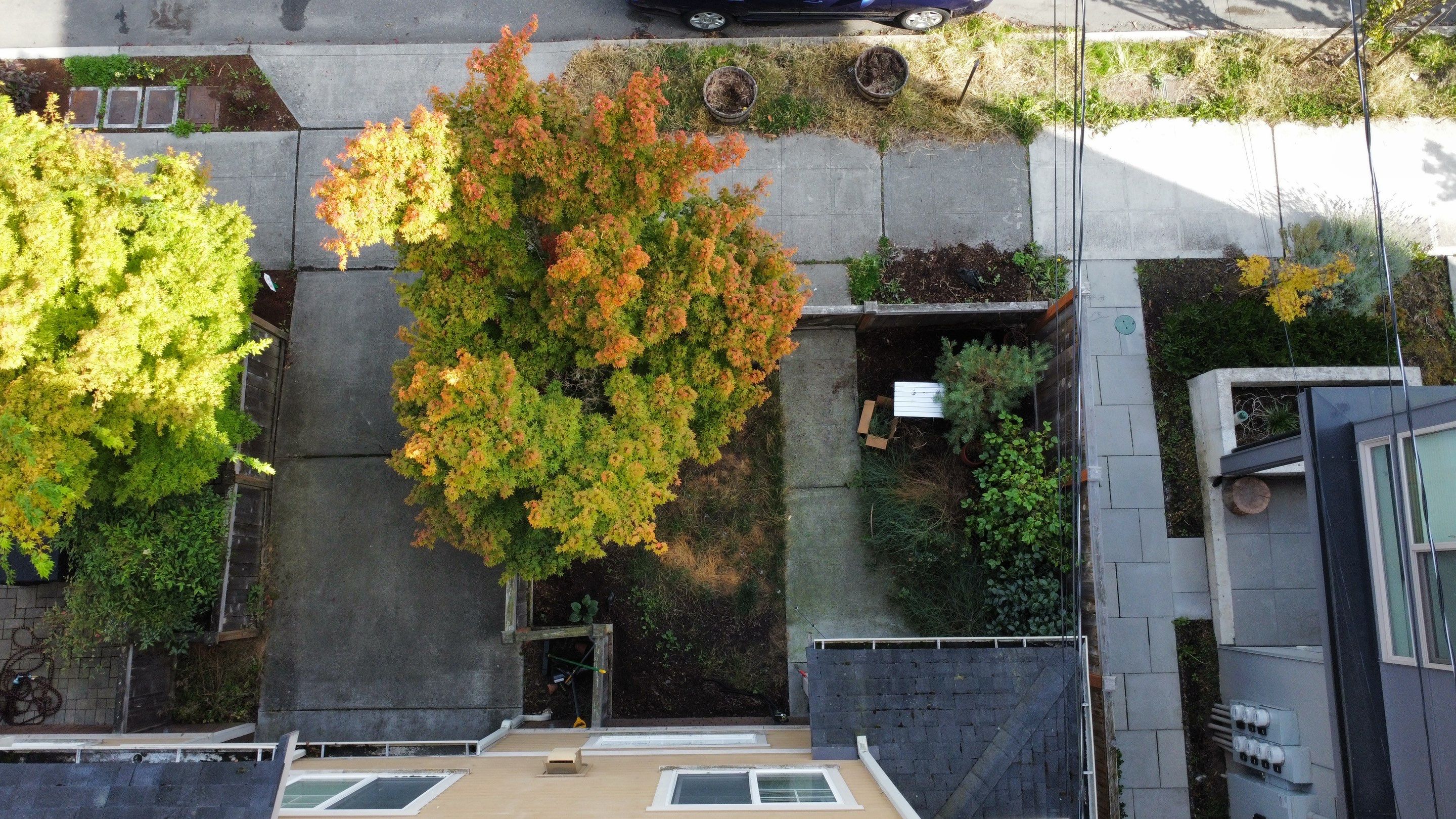 Paver Walkway & Turf Installation | Seattle  by Jireh Asphalt & Concrete Inc 